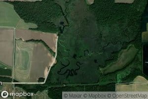 Elm Prong Mill Bayou