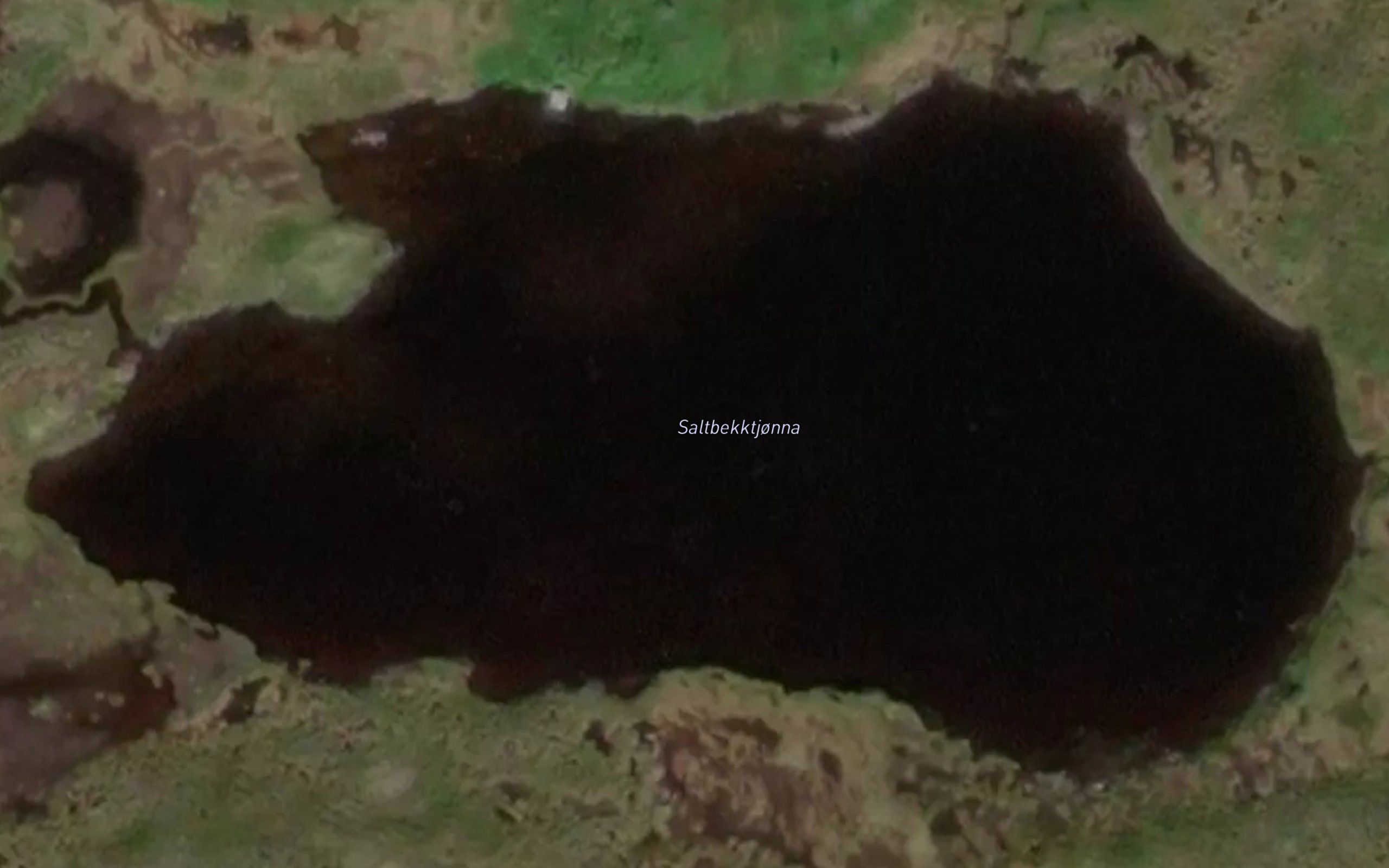 Saltbekktjorna