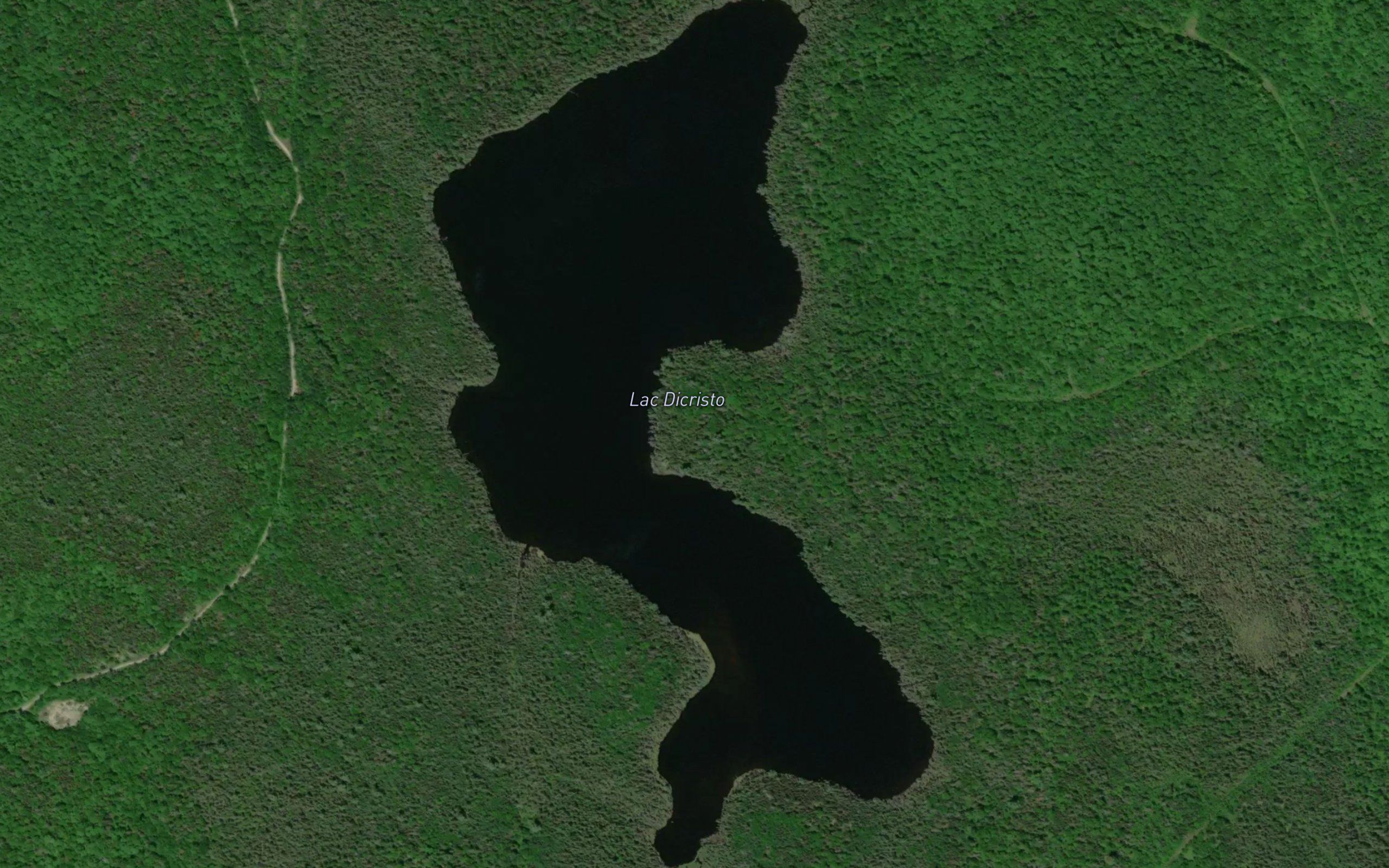 Lac Dicristo