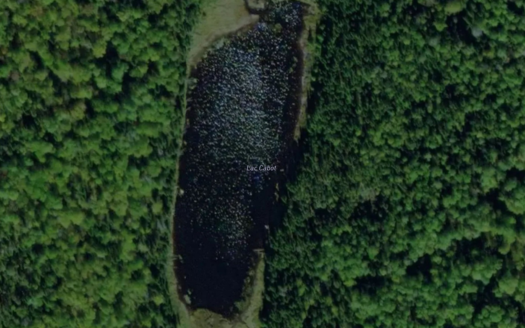 Satellite map of the Lac Cabot