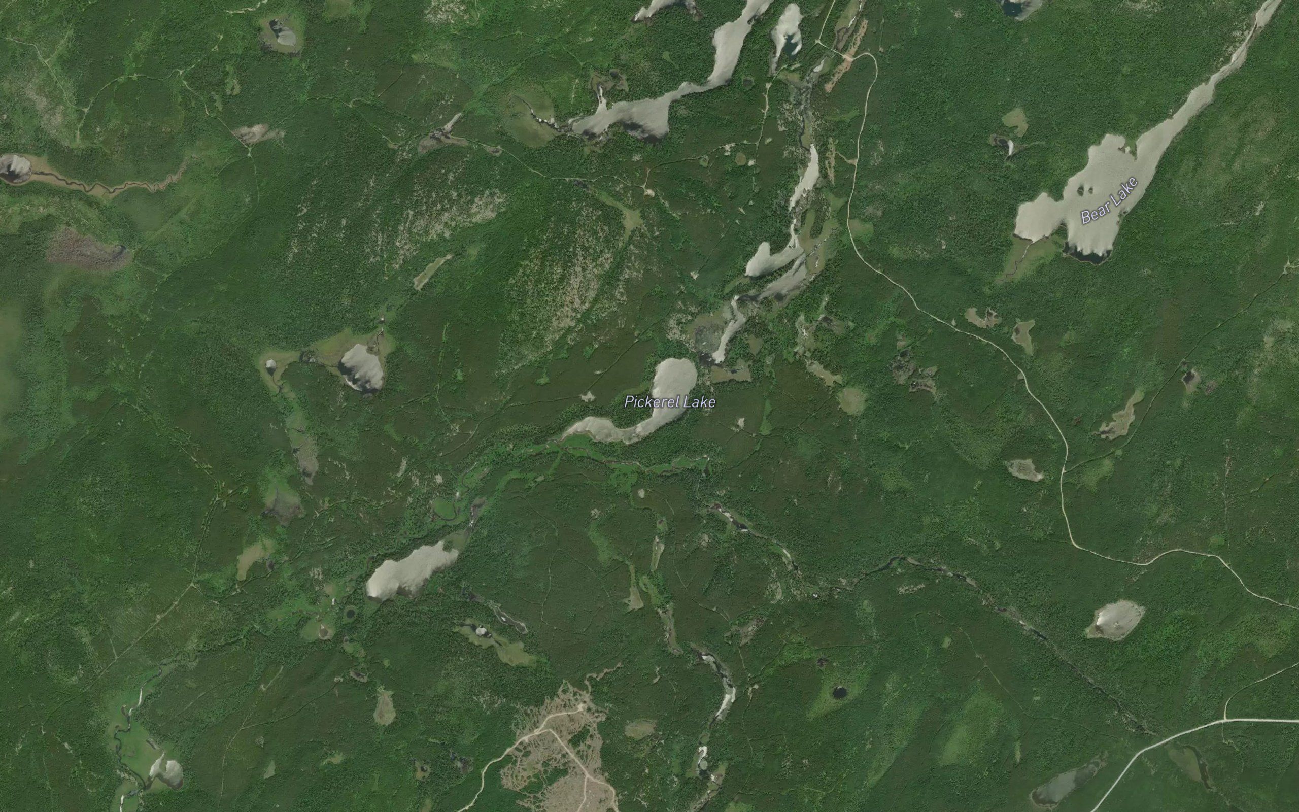 Pickerel Lake
