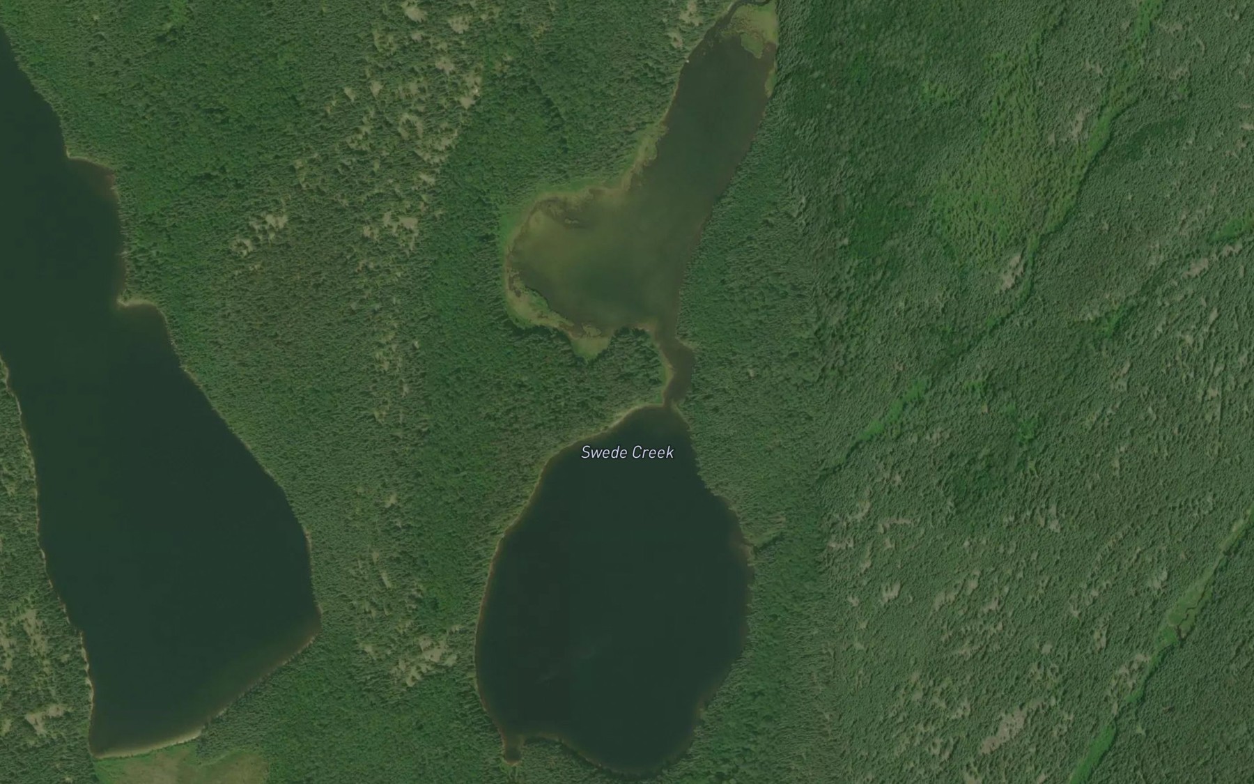 Satellite map of the Lineal Creek