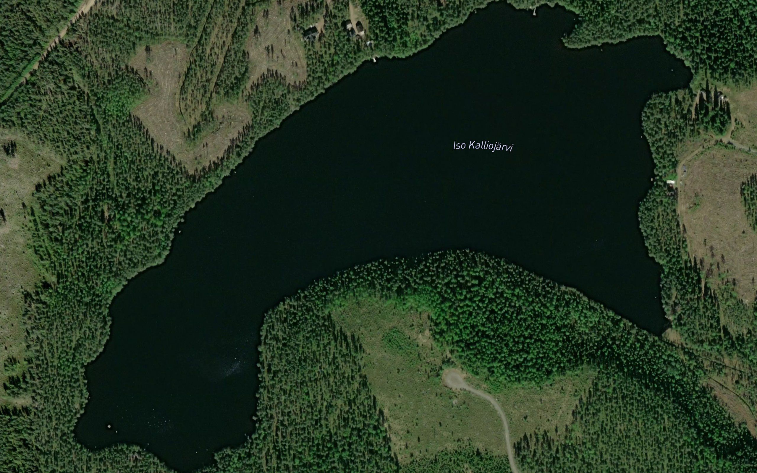 Iso Kalliojarvi
