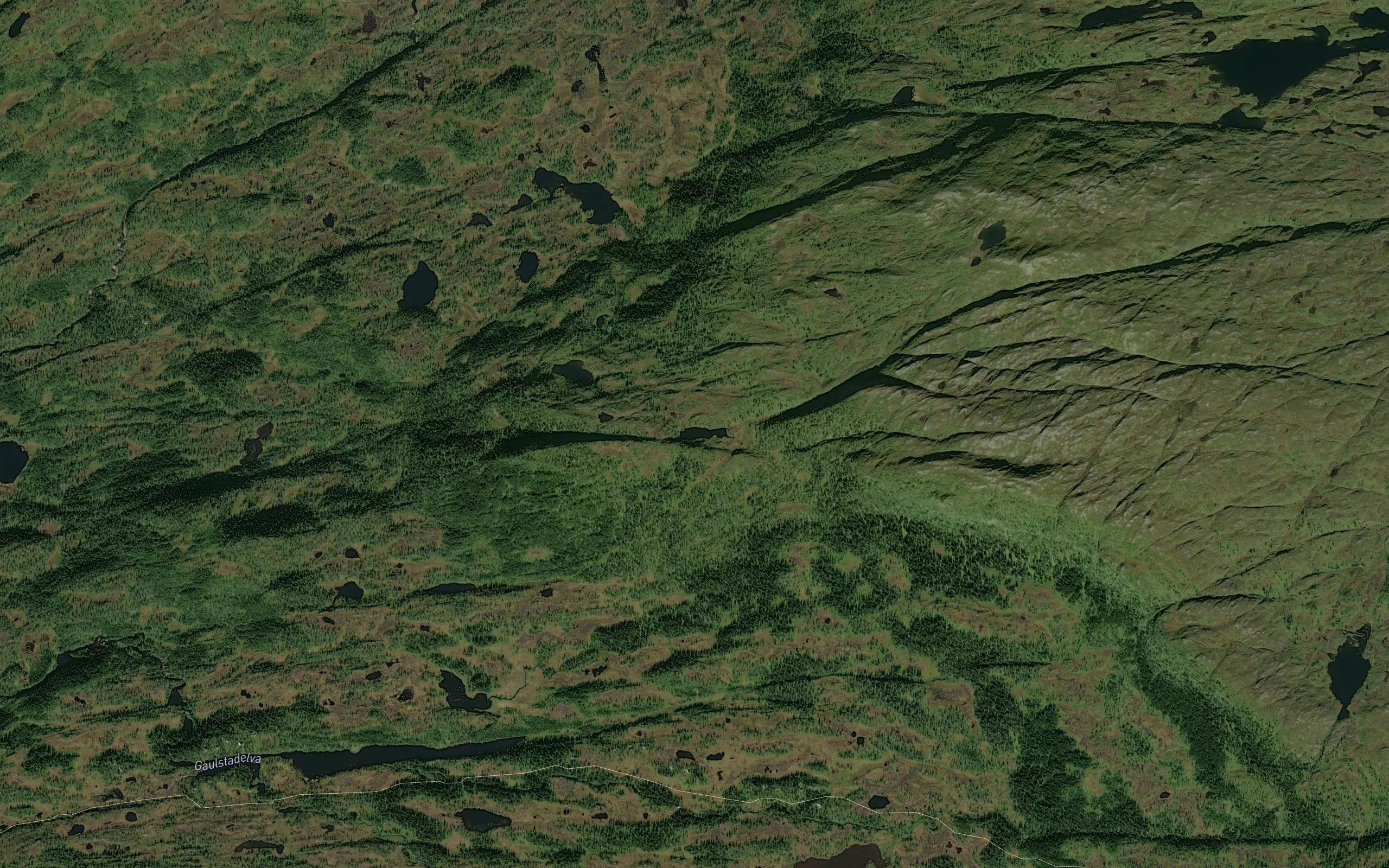 Pikhaugtjonna