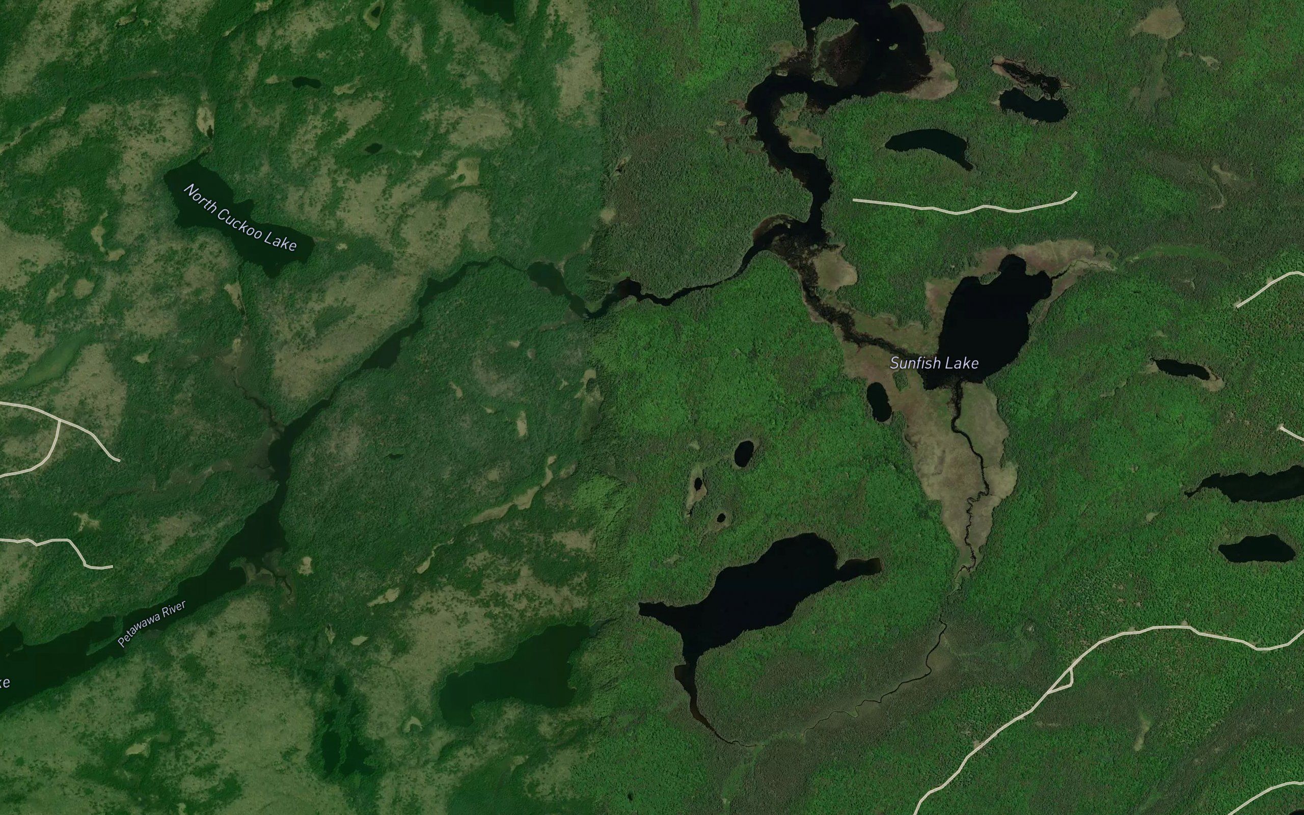 Snowshoe Rapids