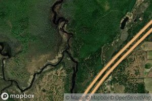 East Branch Molunkus Stream