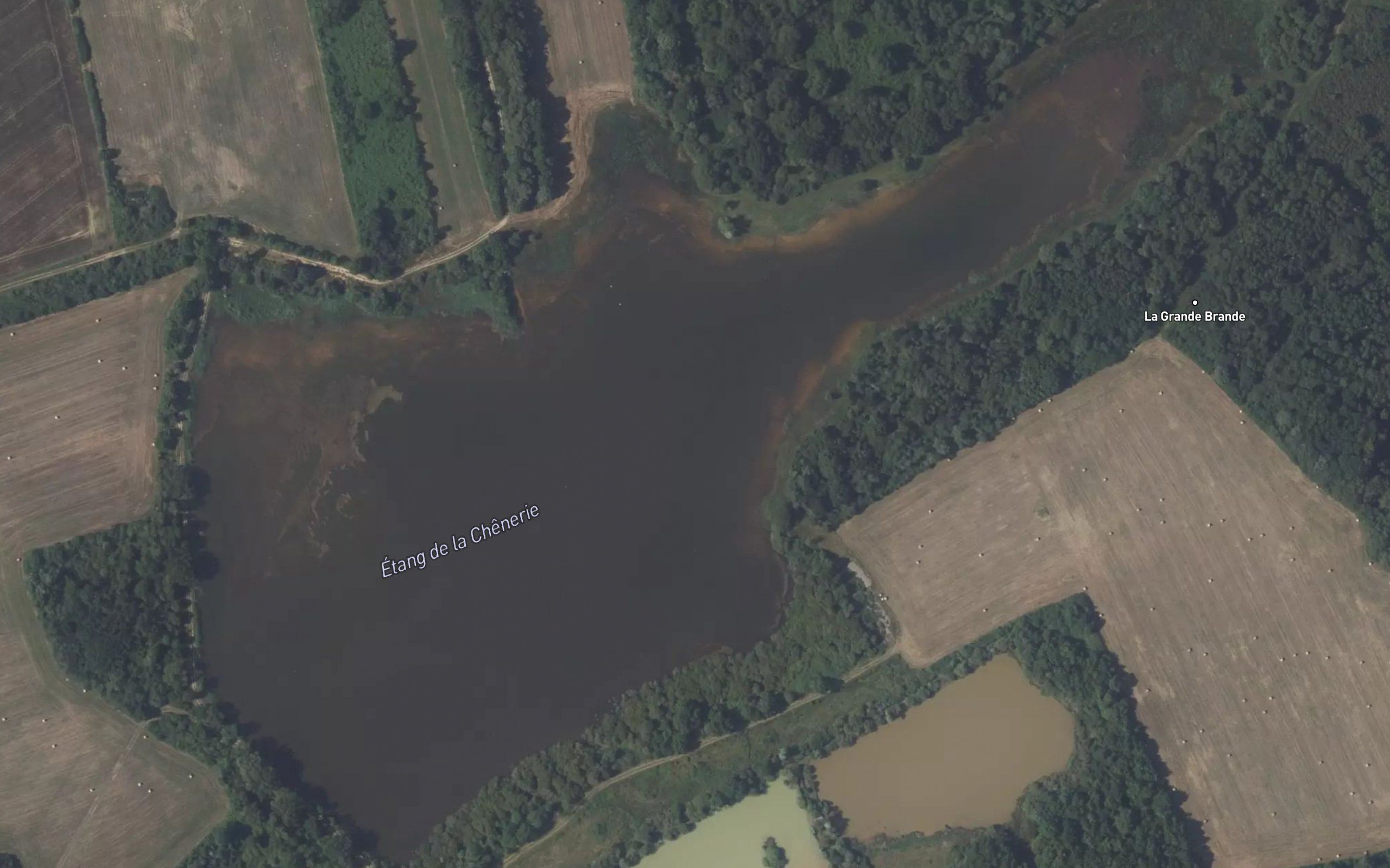Etang de la Chennerie