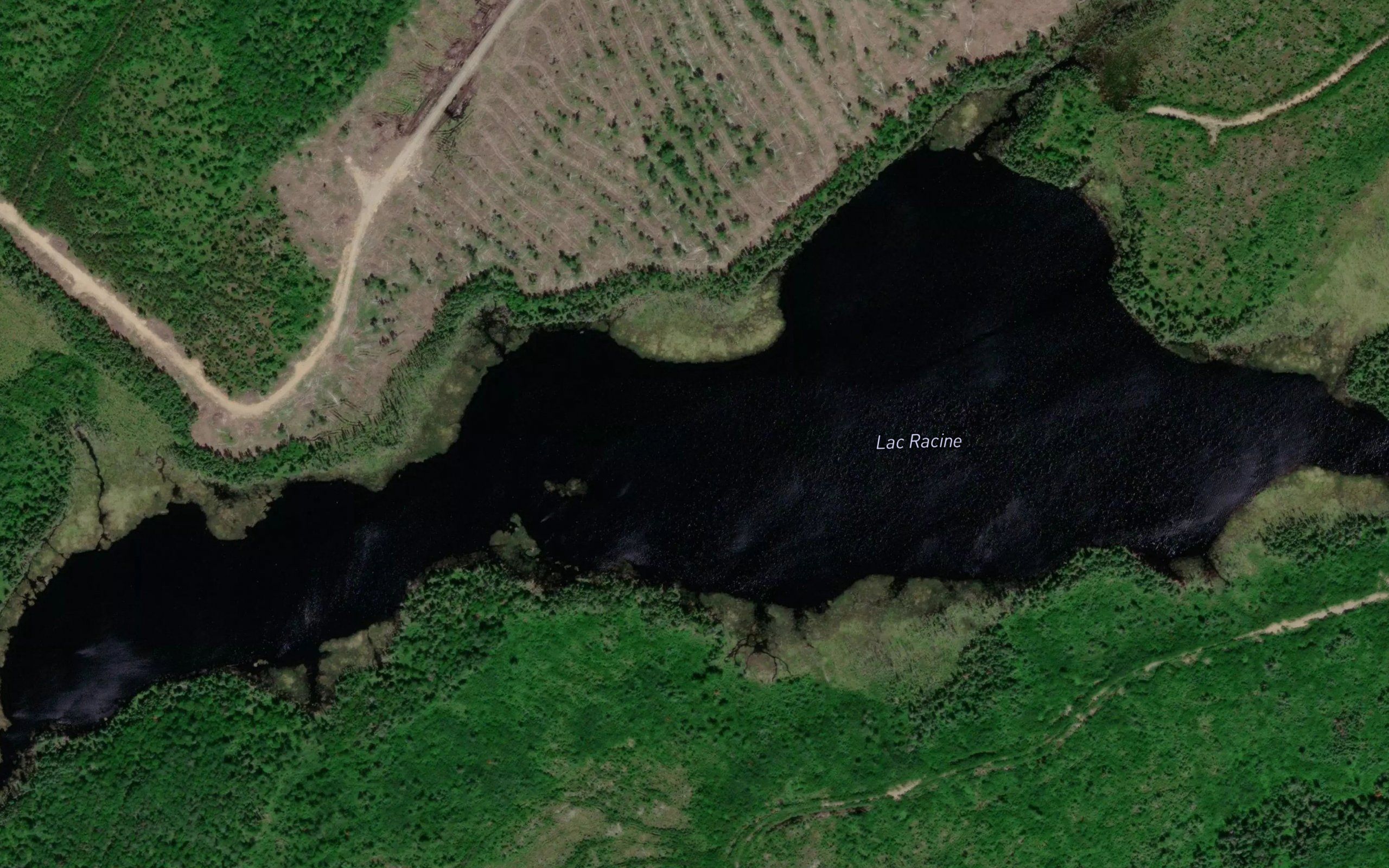 Lac Racine