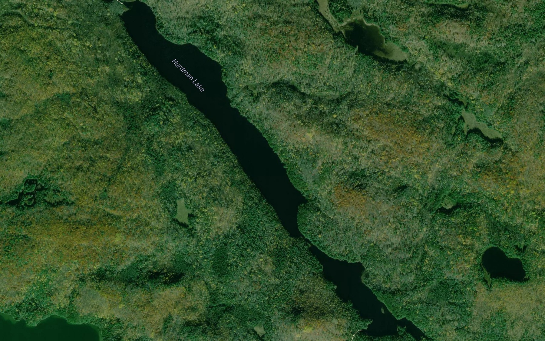 Satellite map of the Hurdman Lake