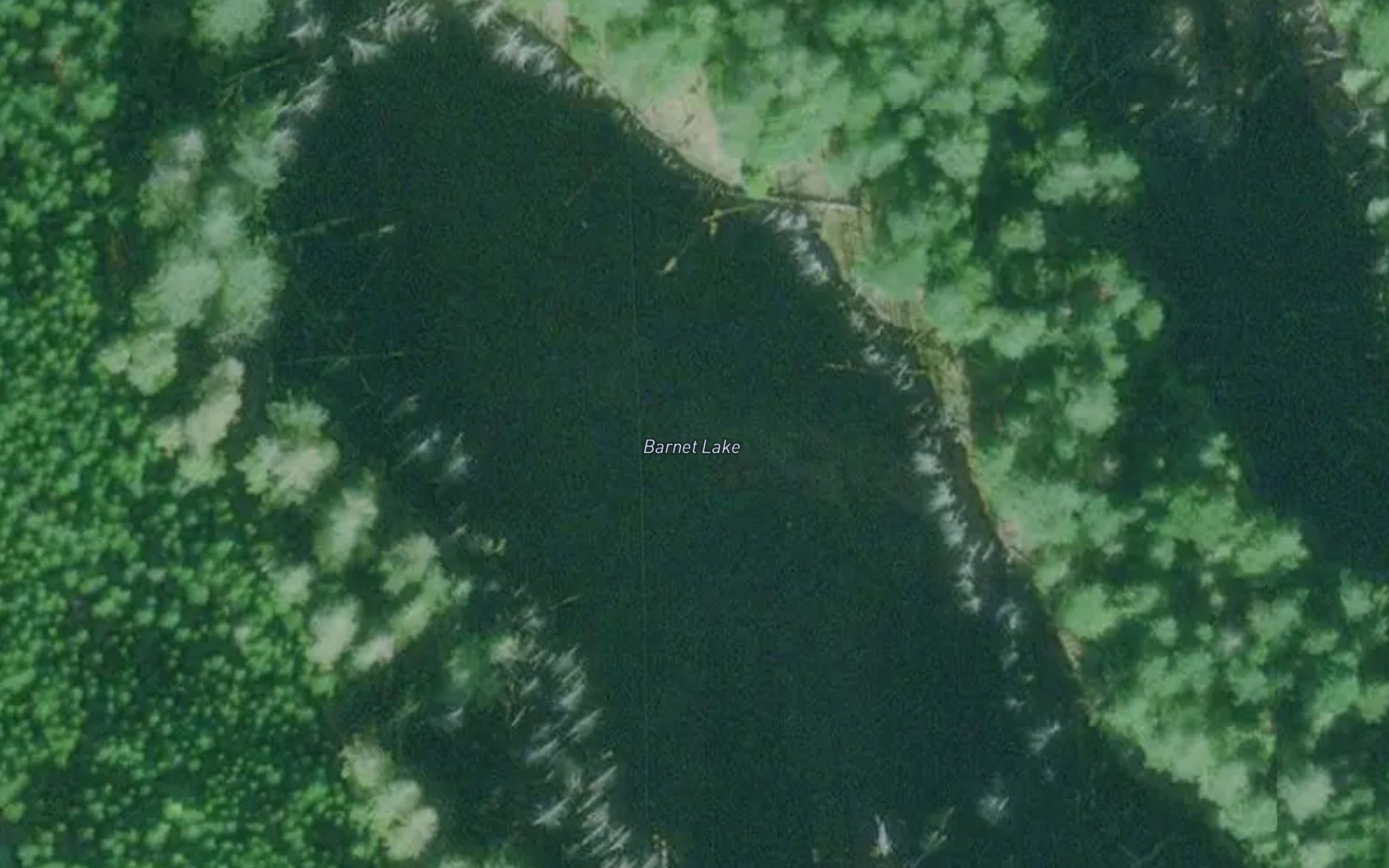 Barnet Lake