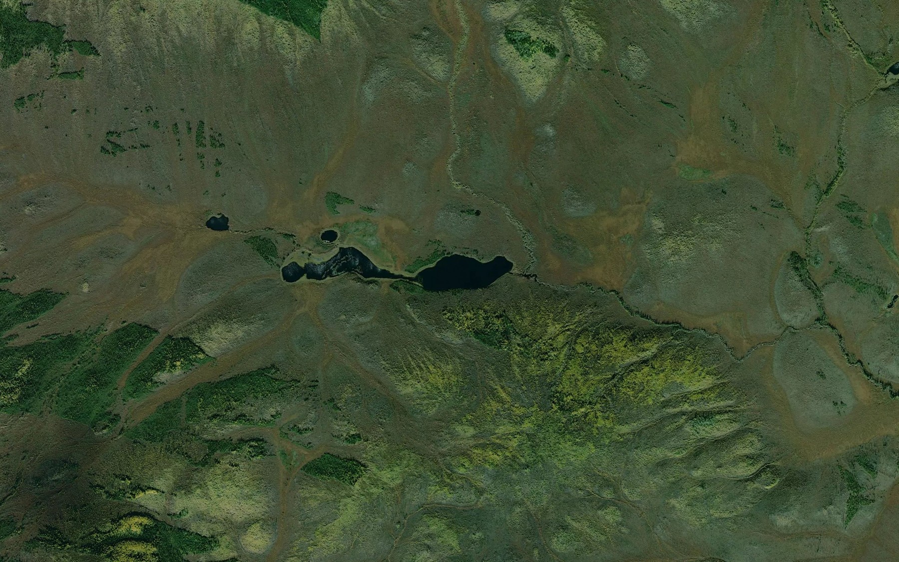 Satellite map of the Cow and Calf Moose Lake