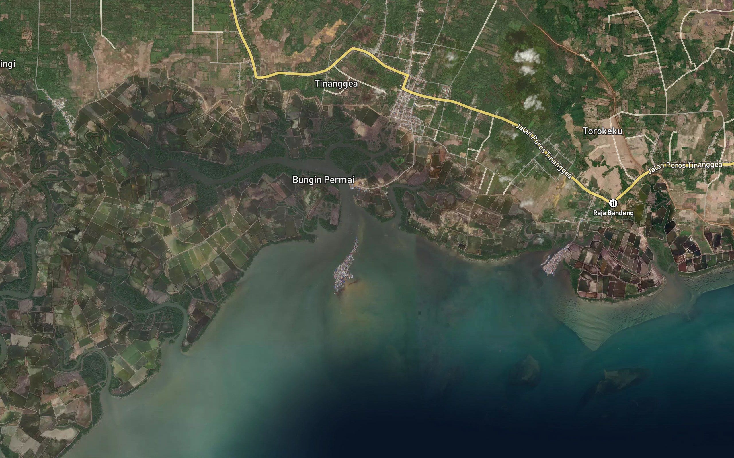Muara Puuwiau