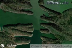Coon Creek
