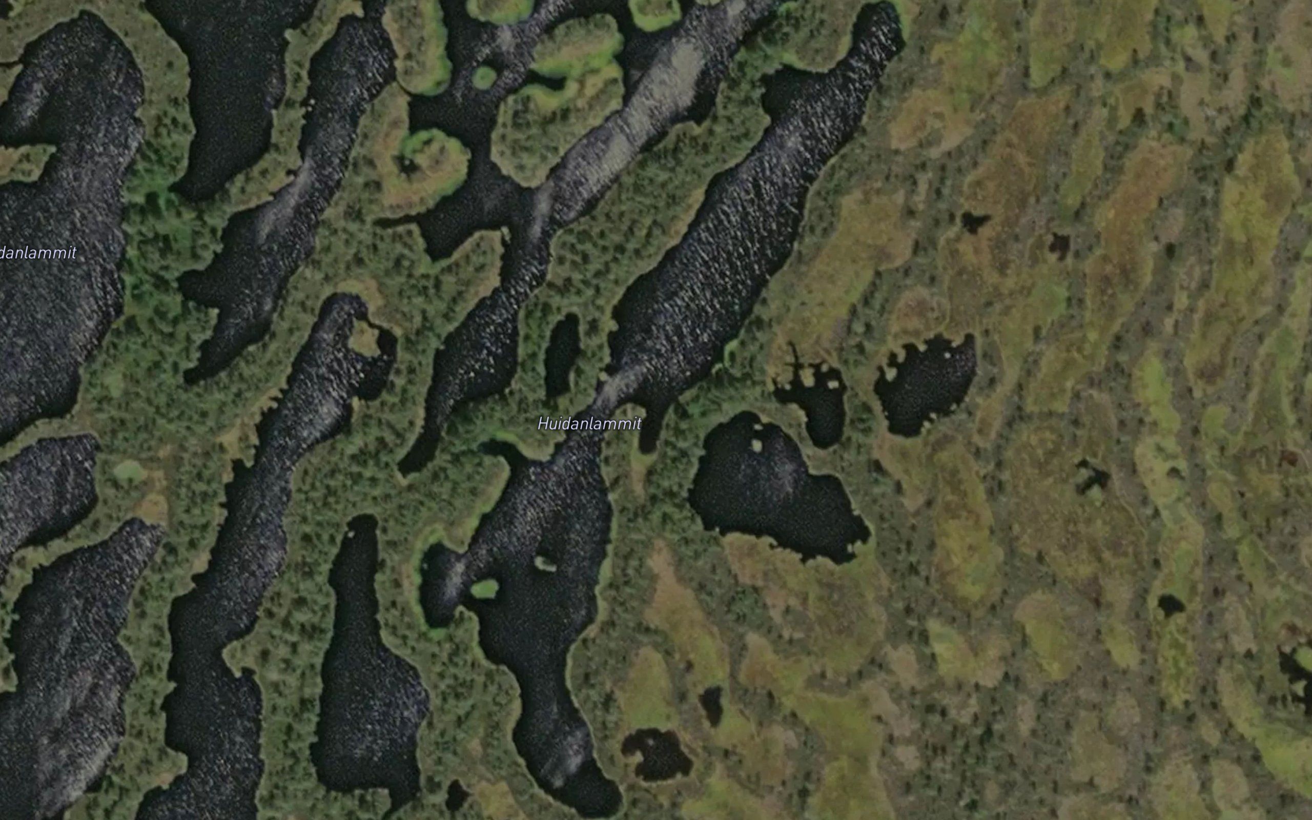 Huidanlammit