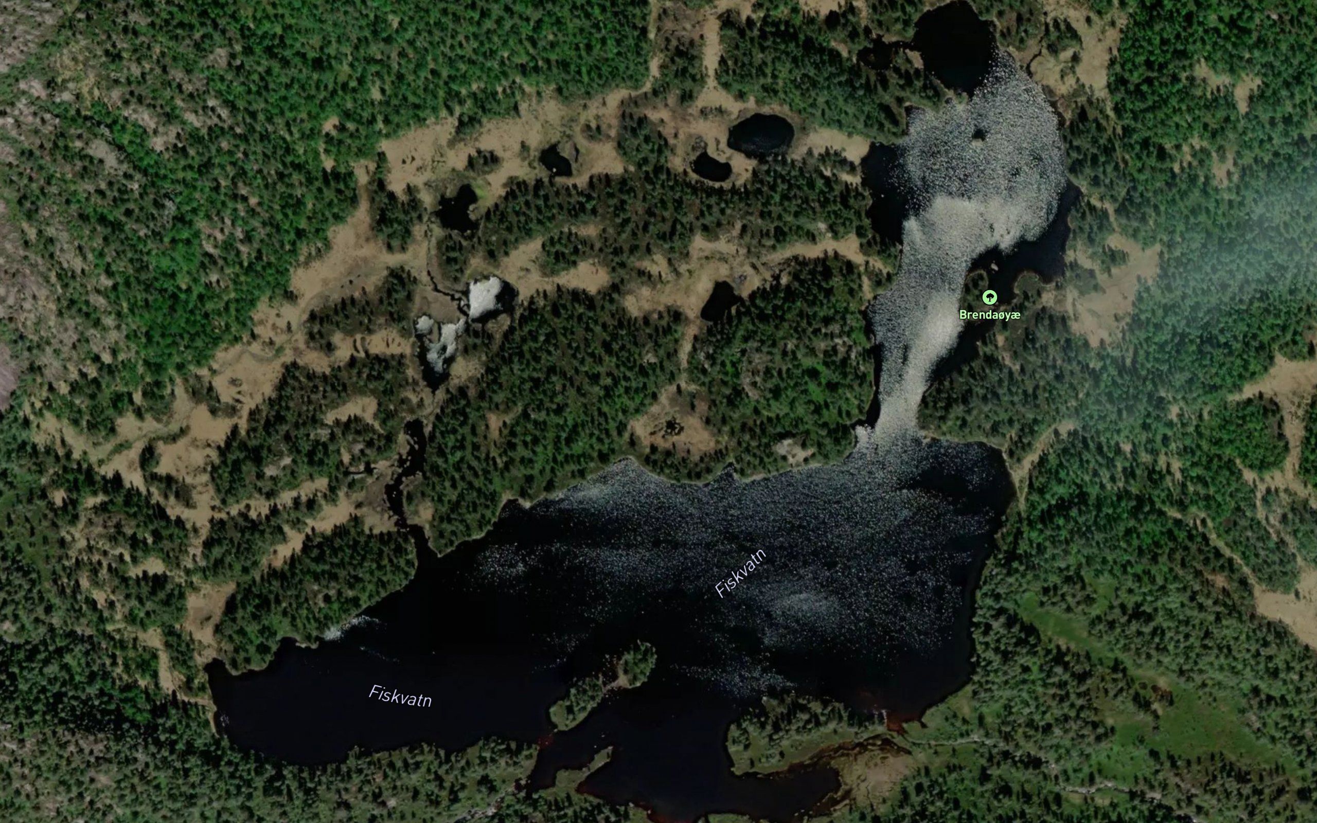 Fiskevatn