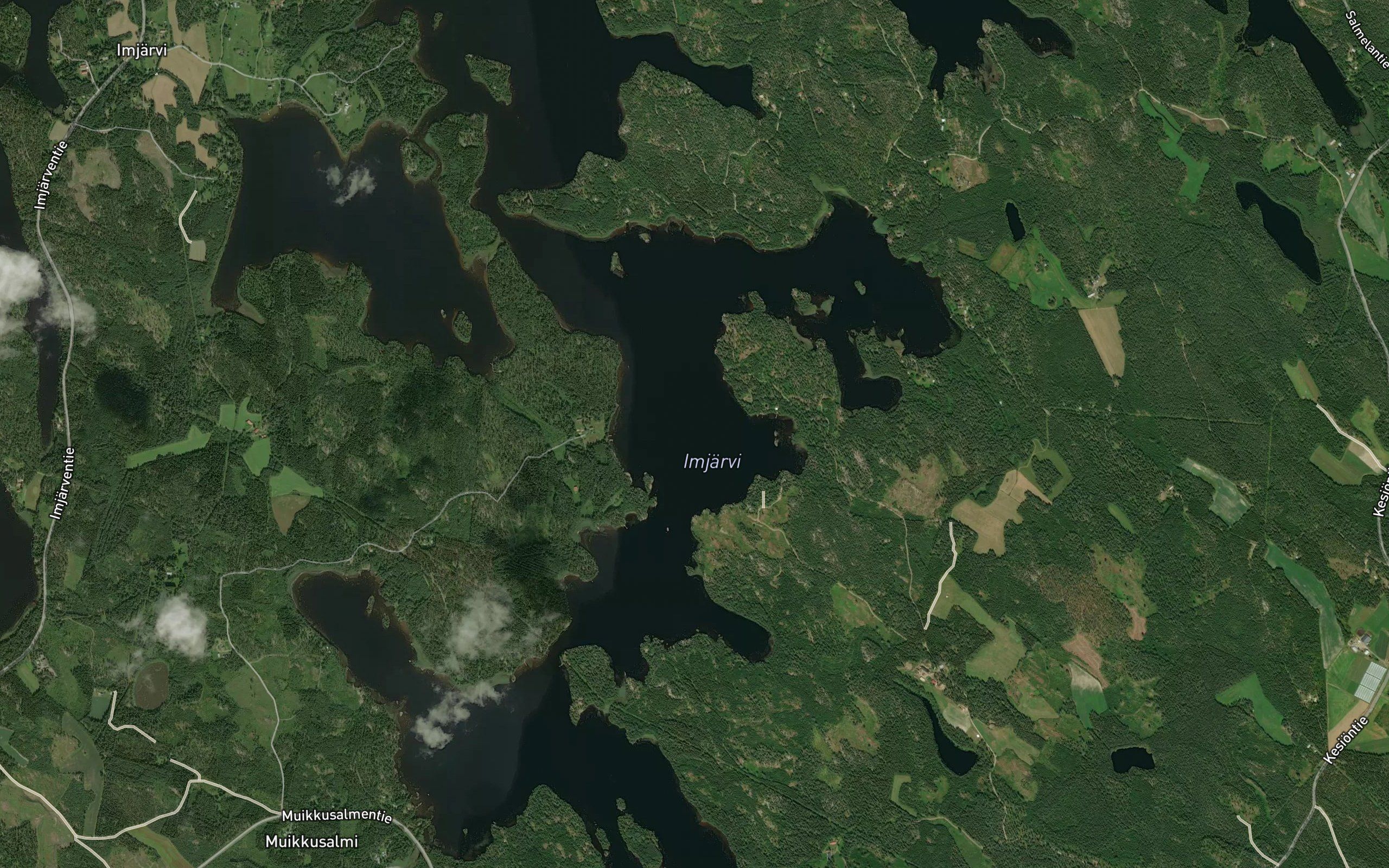 Manttaselka