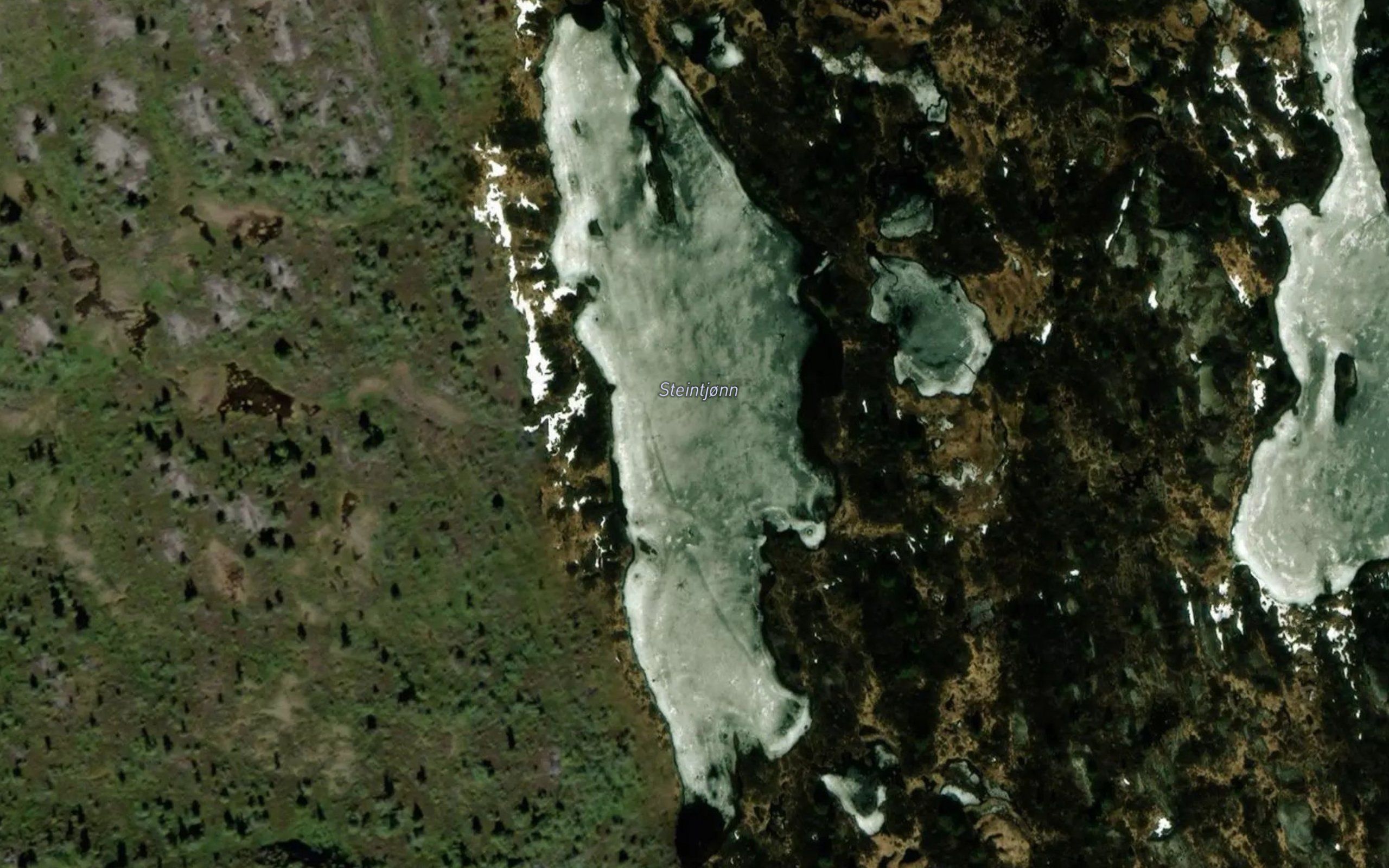 Steintjonn