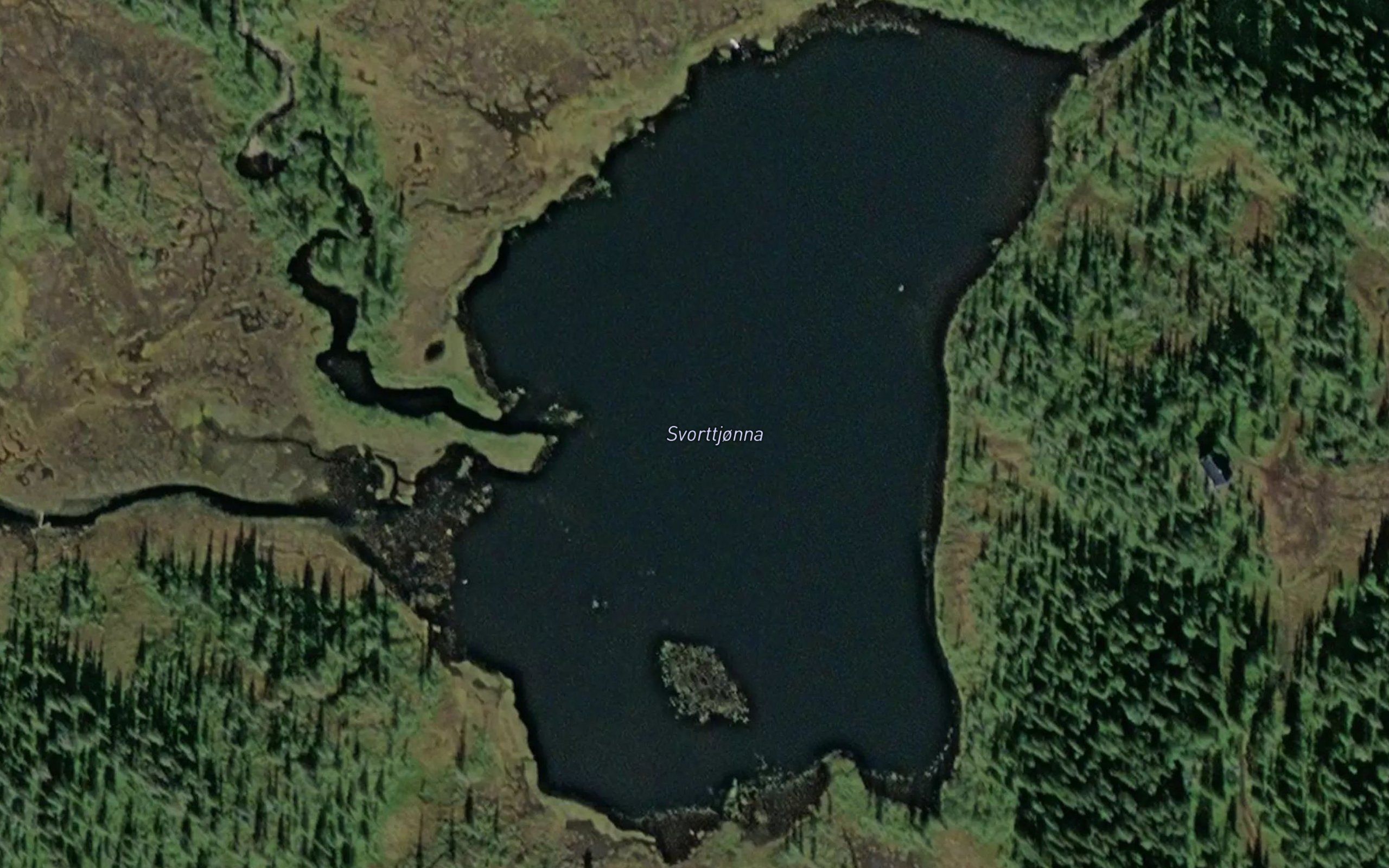 Svorttjorna