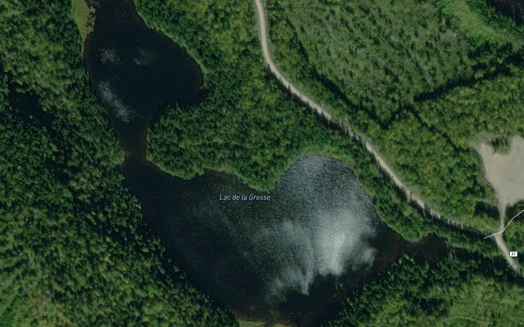 Satellite map of the Lac de la Grosse