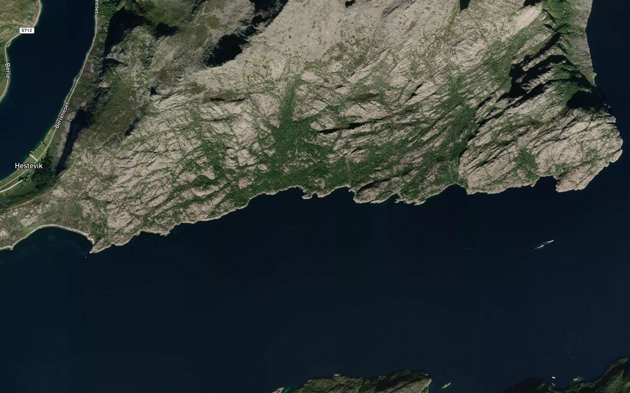Skukkevika