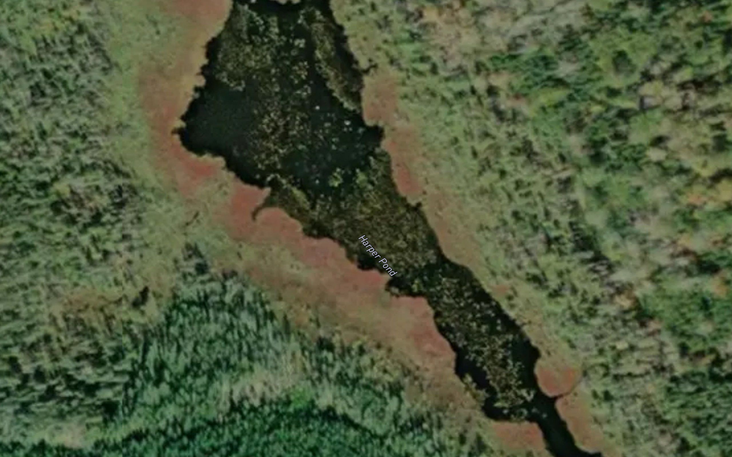 Harper Pond