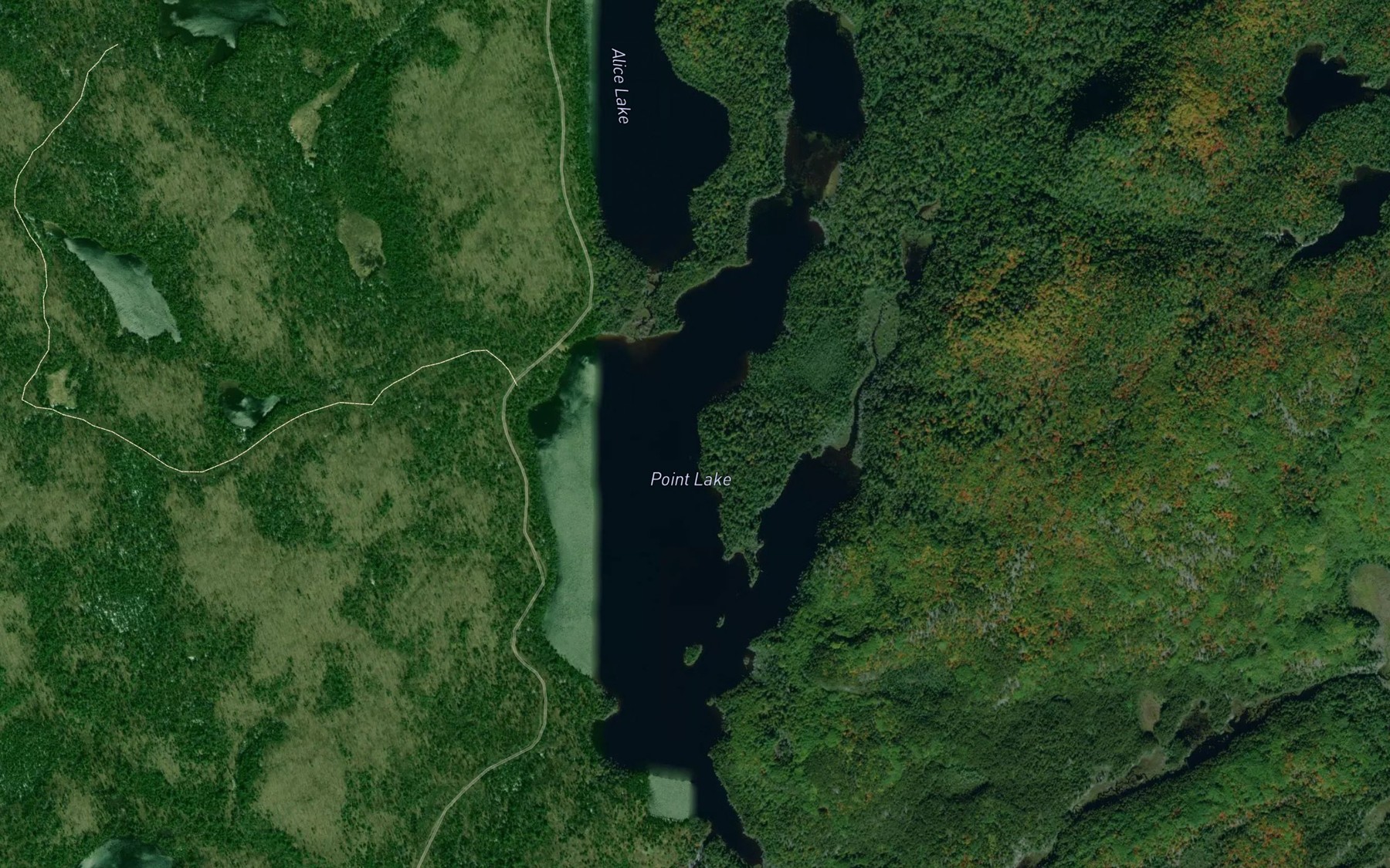Satellite map of the Point Lake