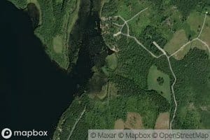 Levalamminoja
