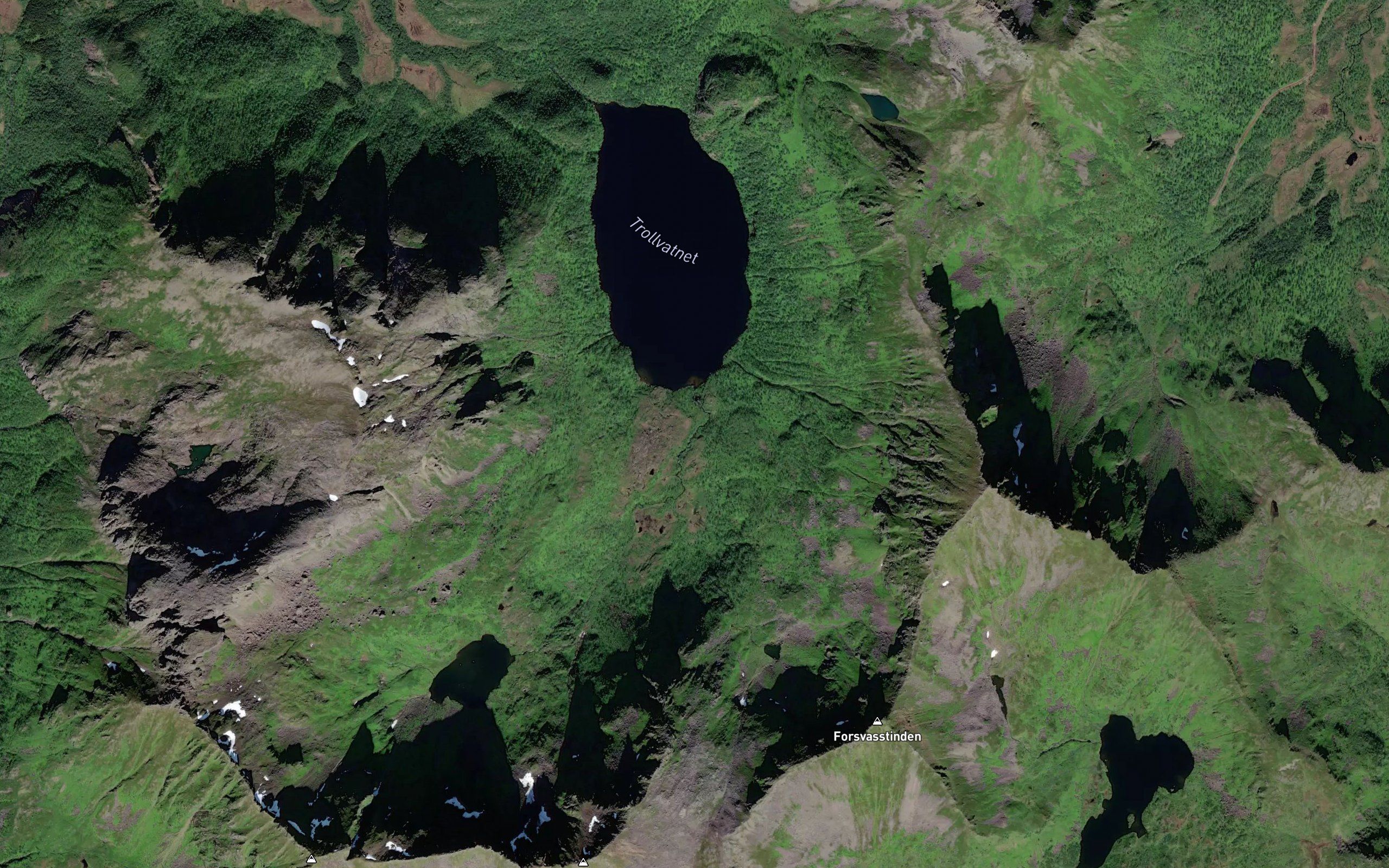 Dalbotnelva