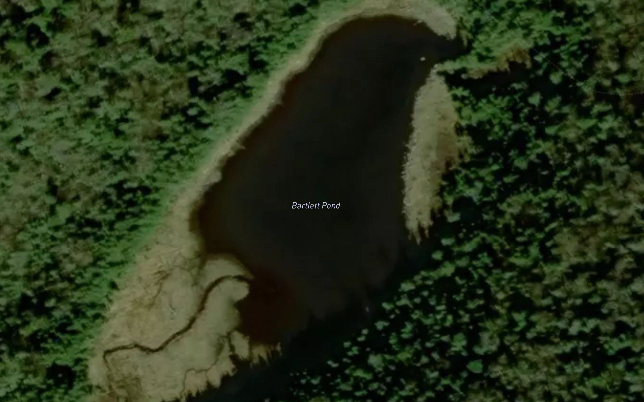 Bartlett Pond