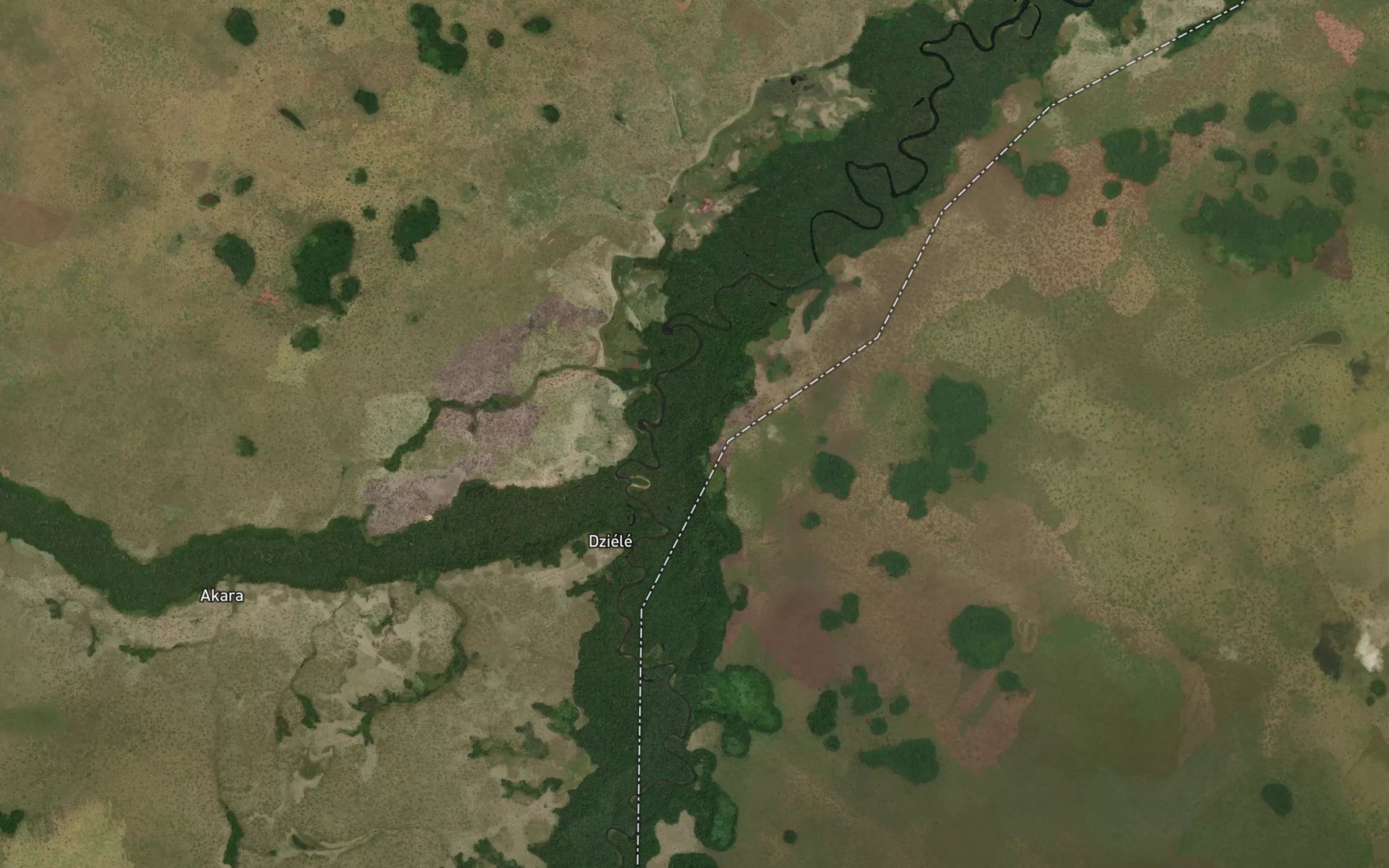 Satellite map of the Dziele