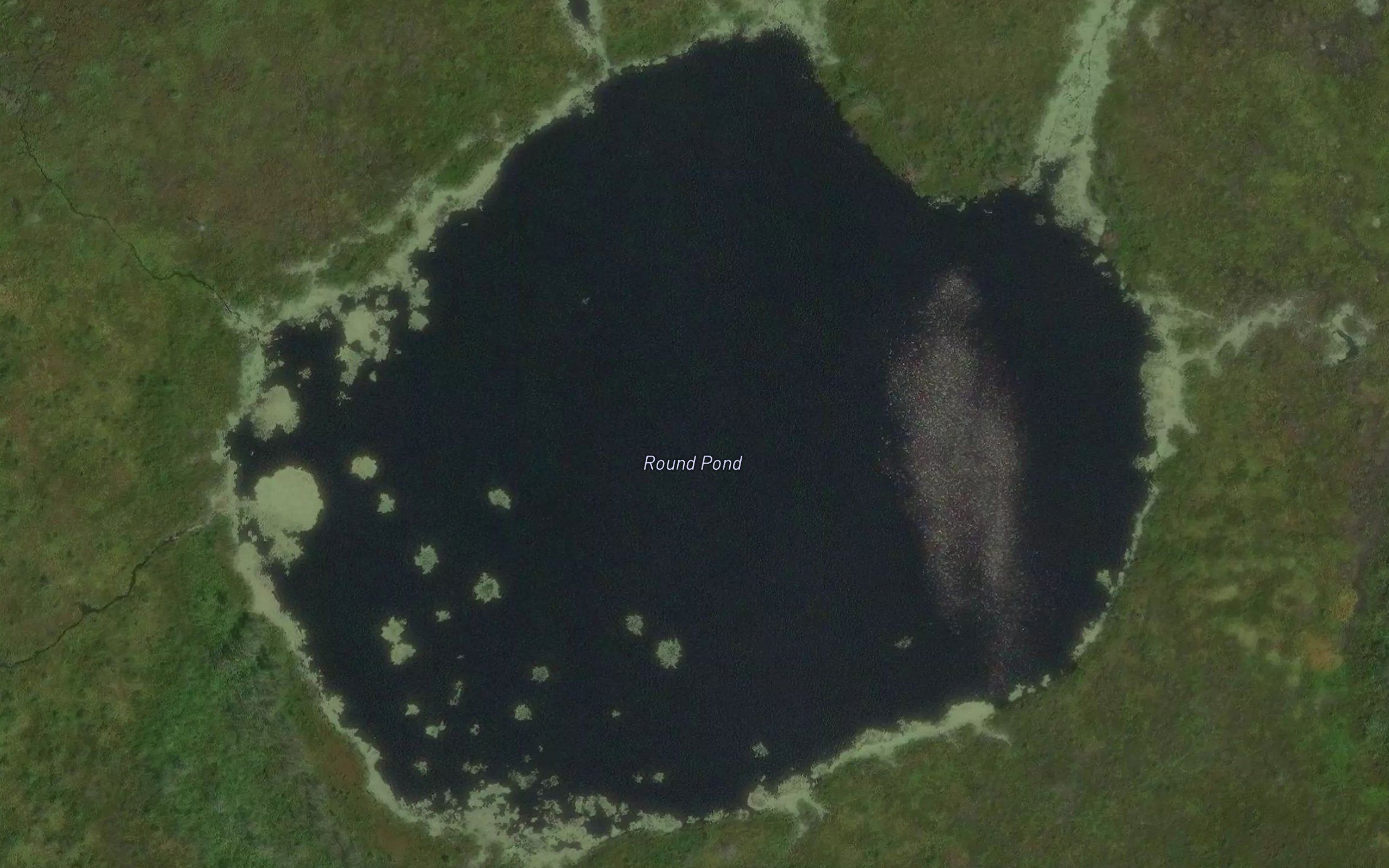 Round Pond
