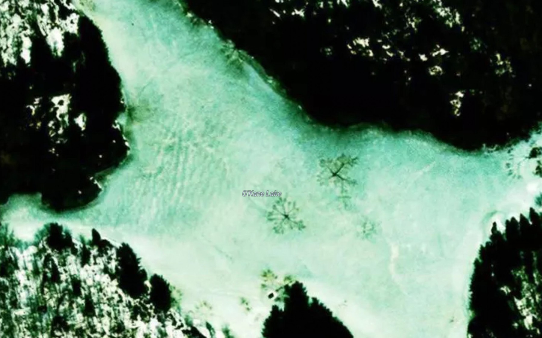 Satellite map of the O'Kane Lake