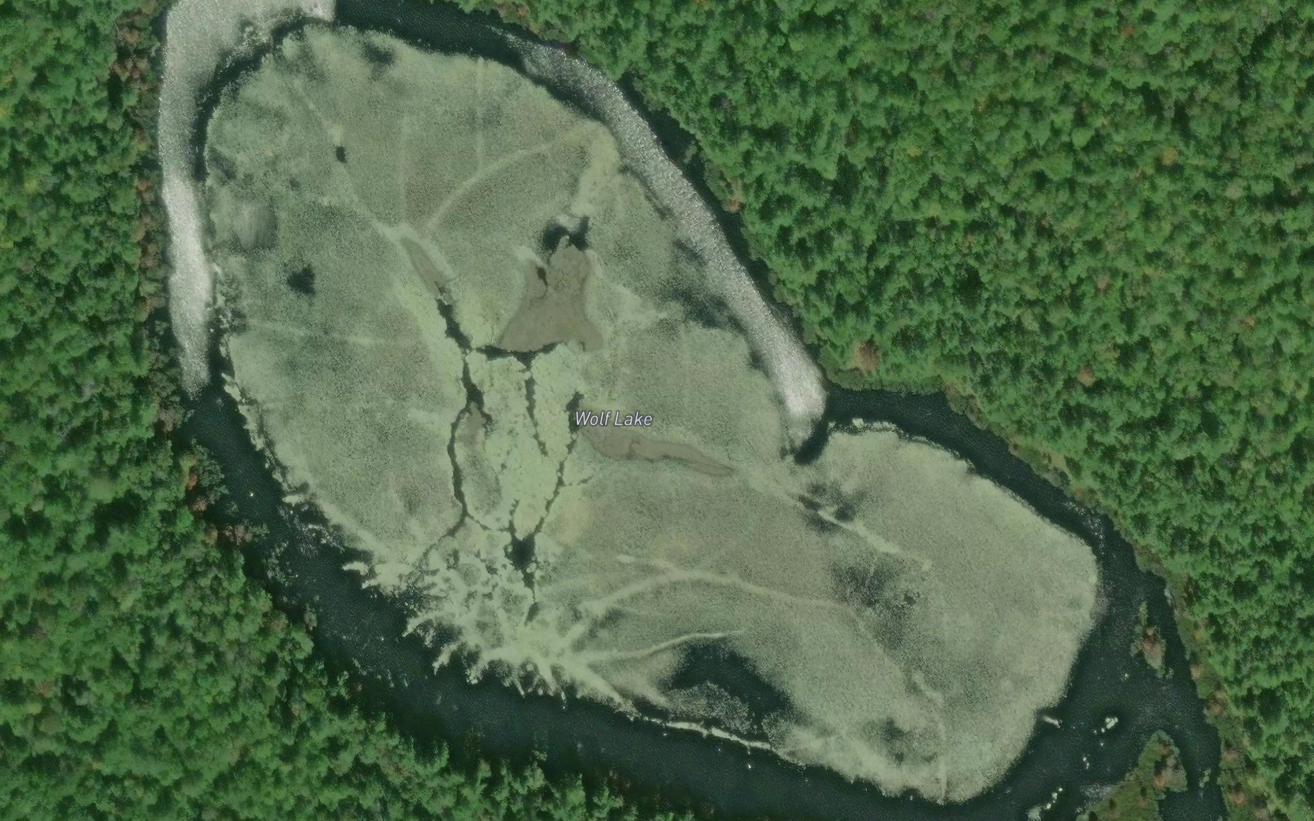 Wolf Lake