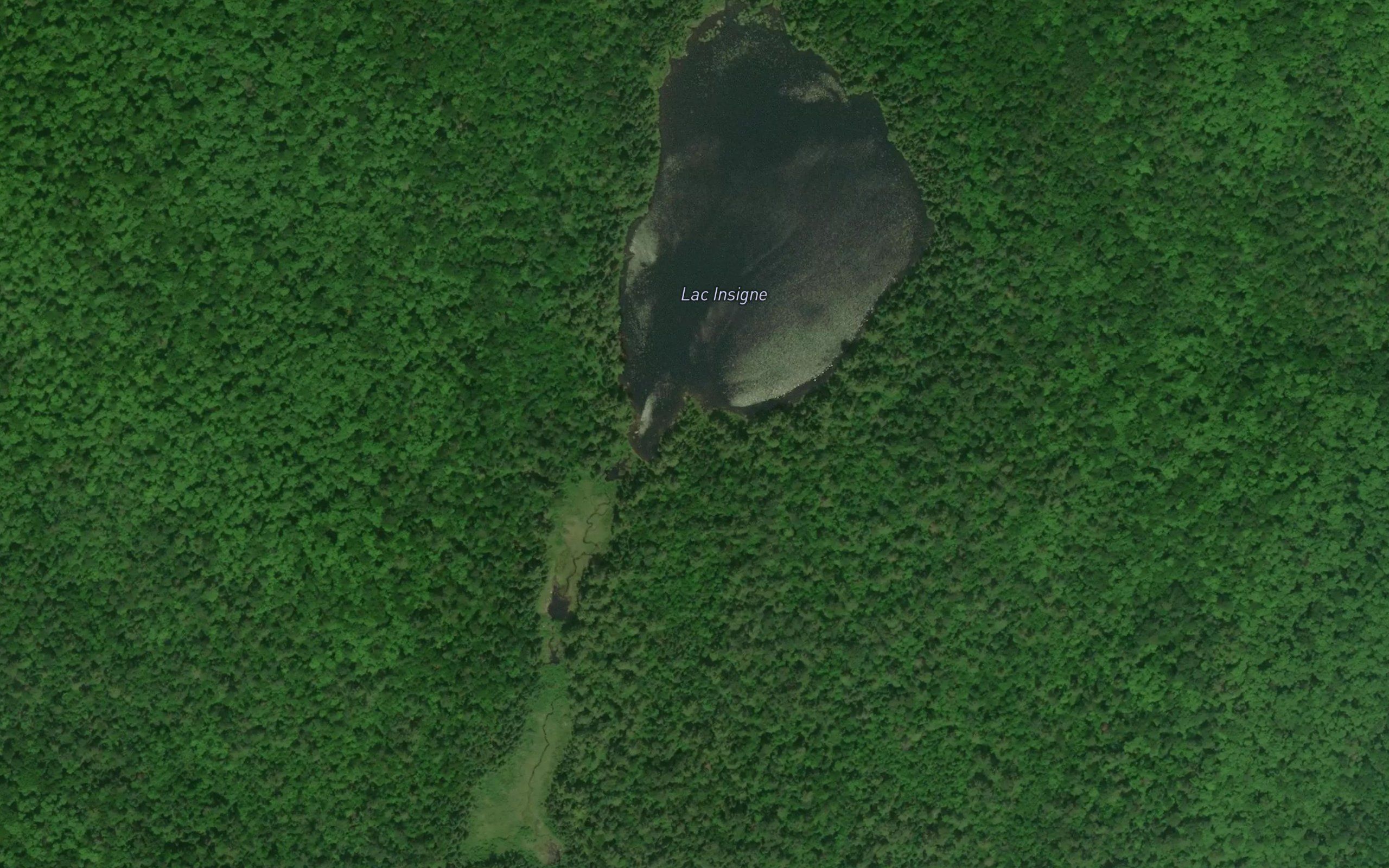 Lac Insigne