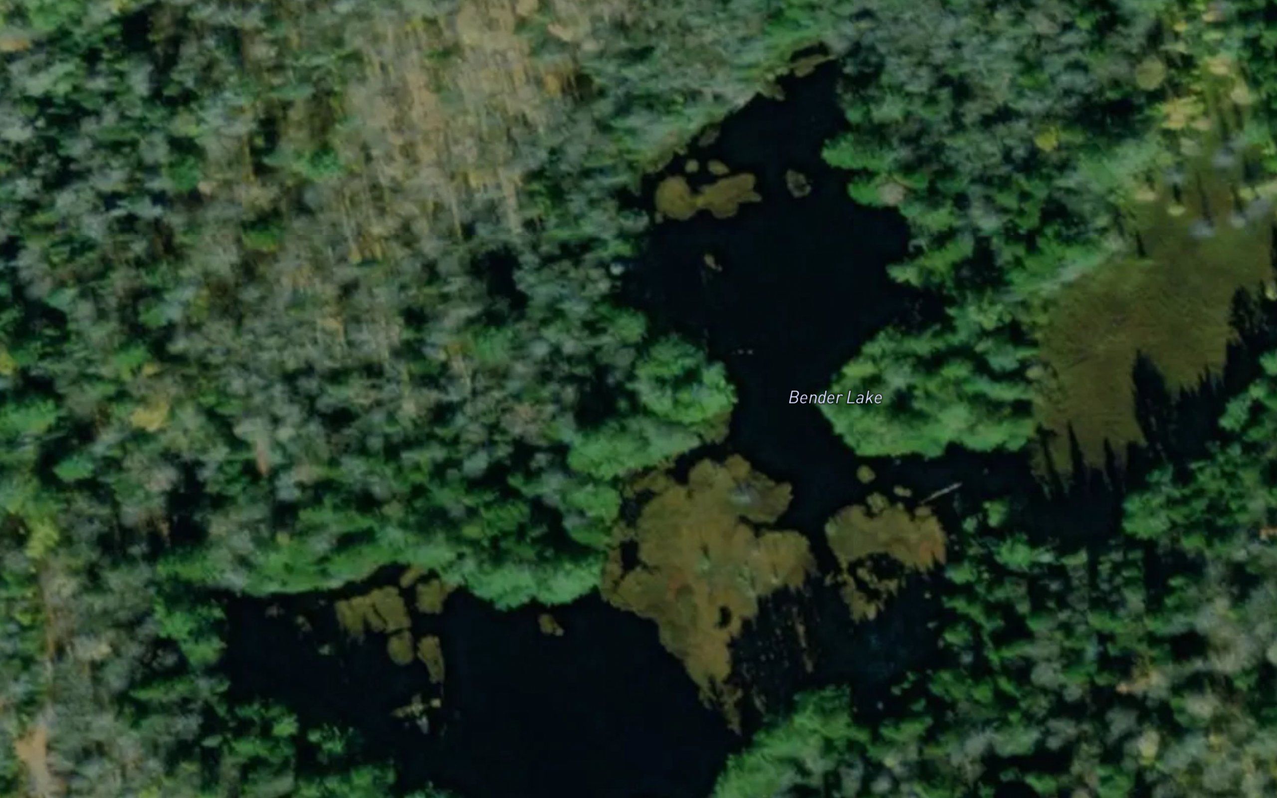 Bender Lake