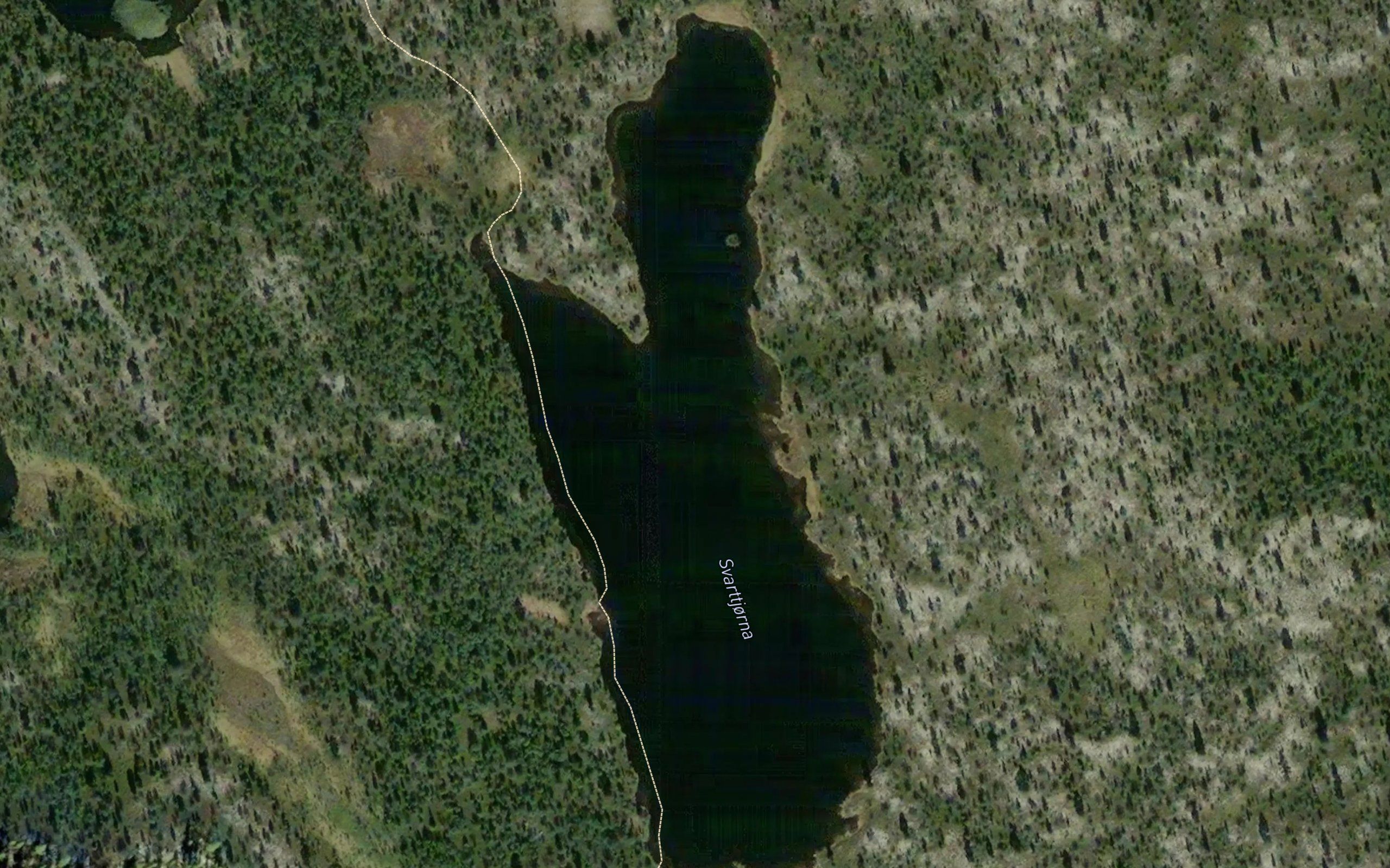 Svarttjorna