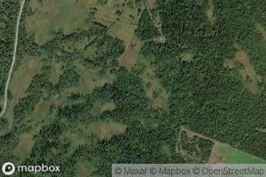 Trilta
