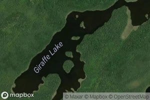 Giraffe Lake
