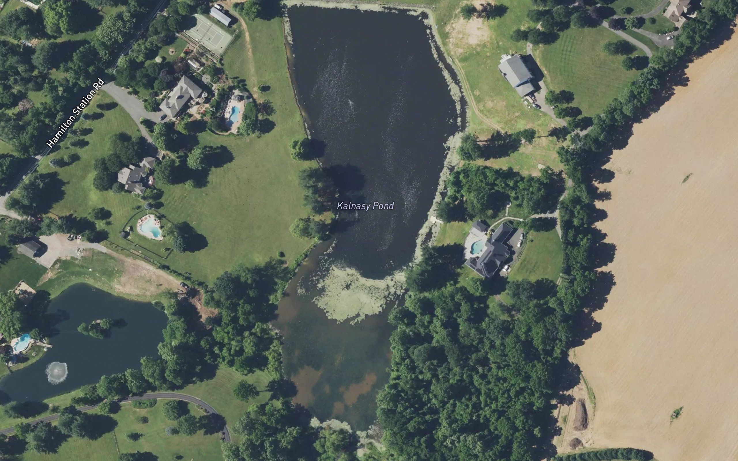 Kalnasy Pond