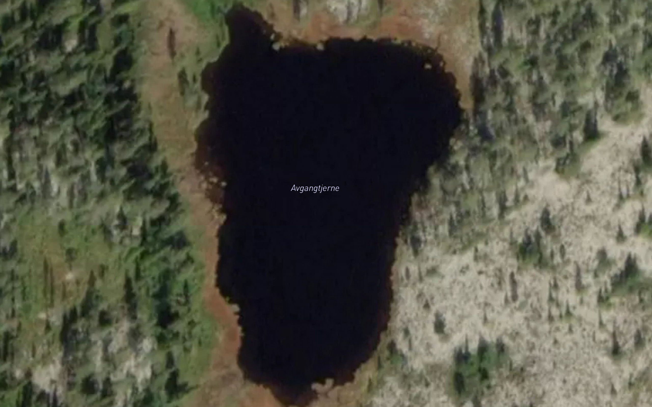 Avgangtjerni