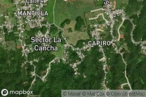 Canal Principal de Diverson