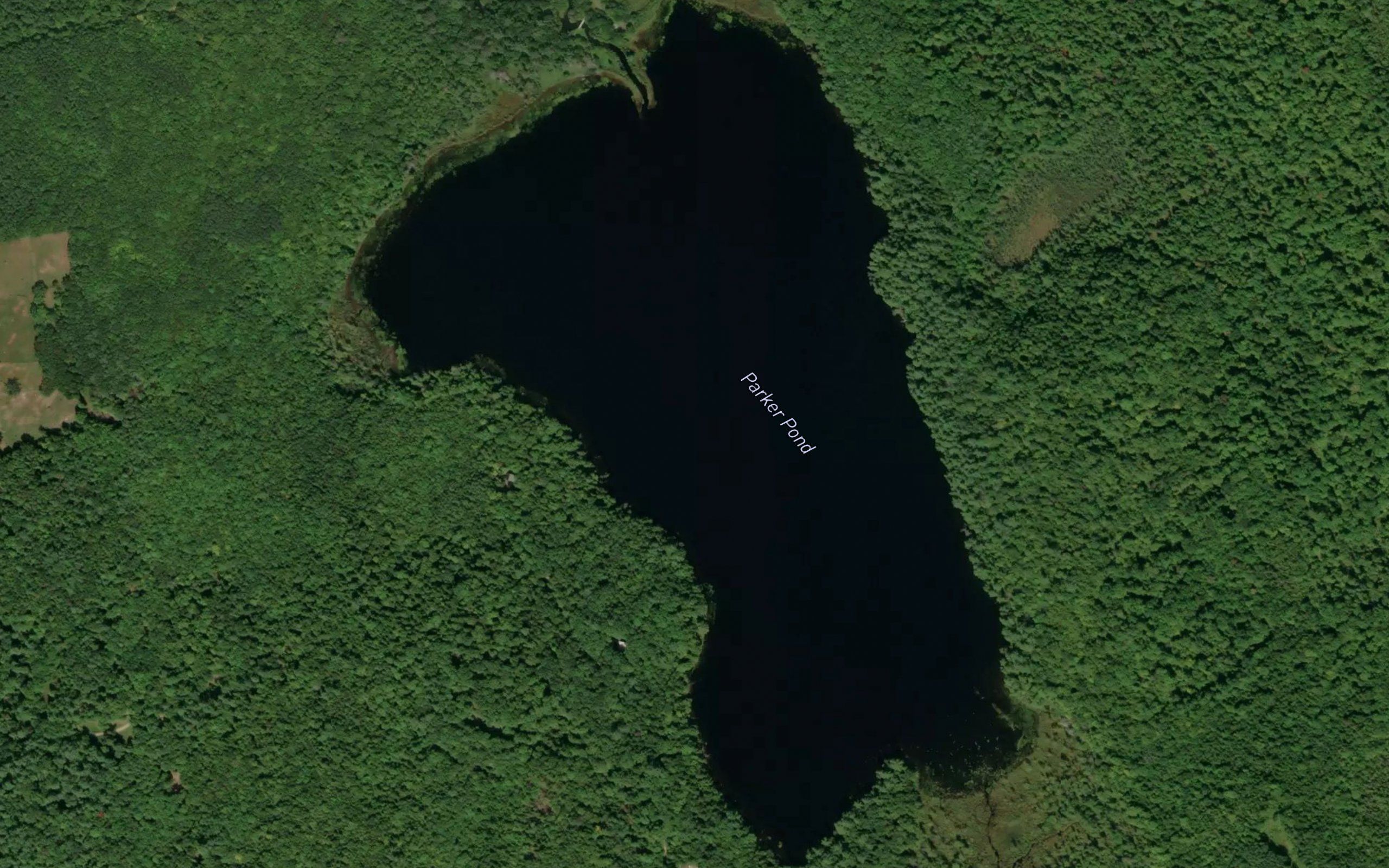 Parker Pond