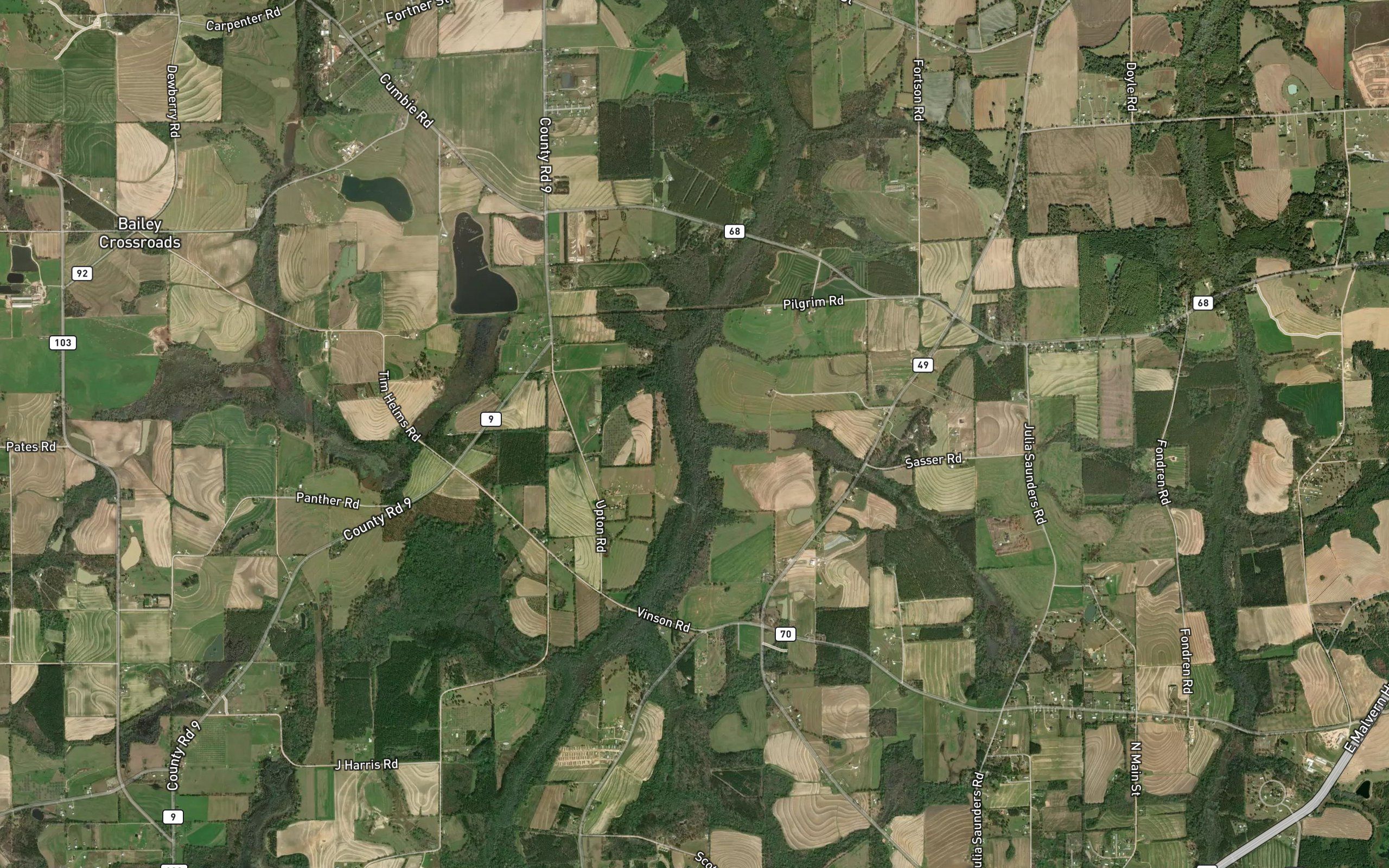 Sasser Branch