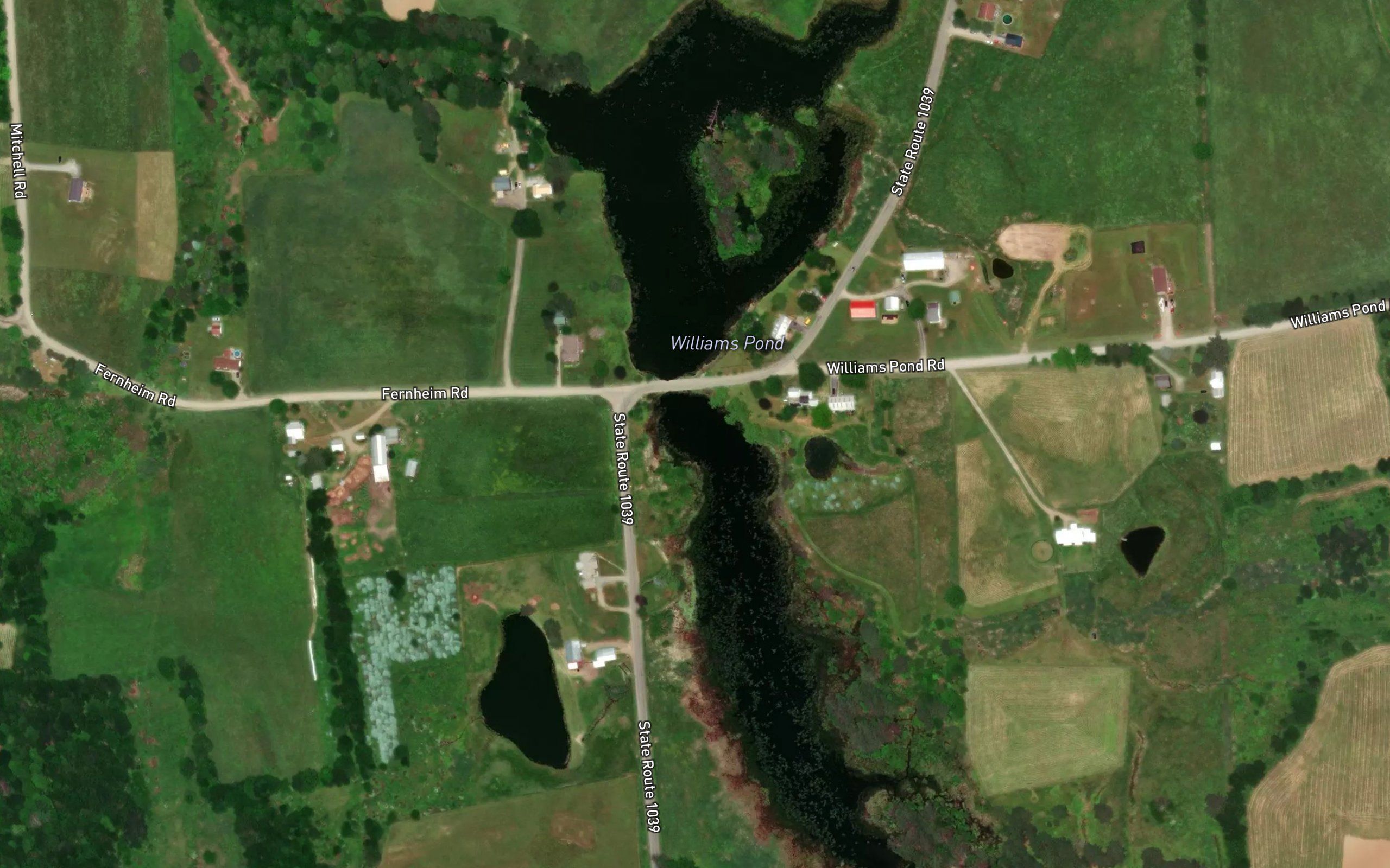 Williams Pond