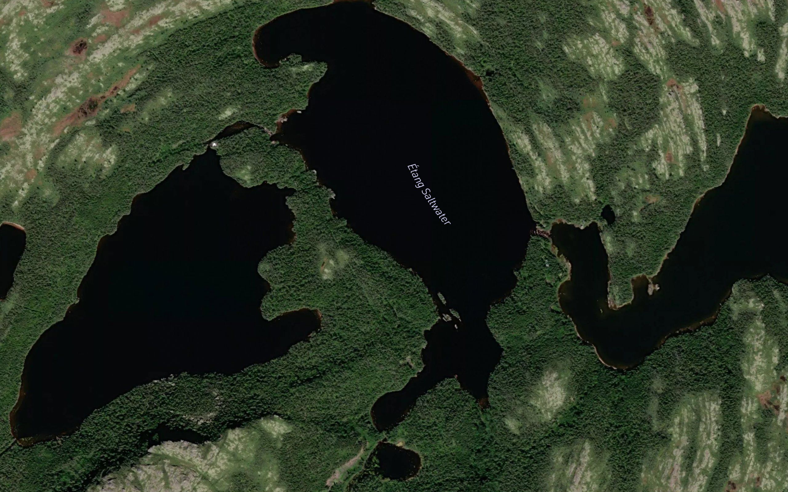 Etang Saltwater