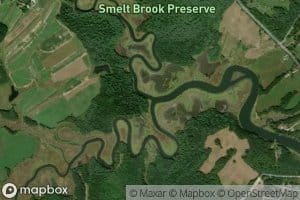 Smelt Brook