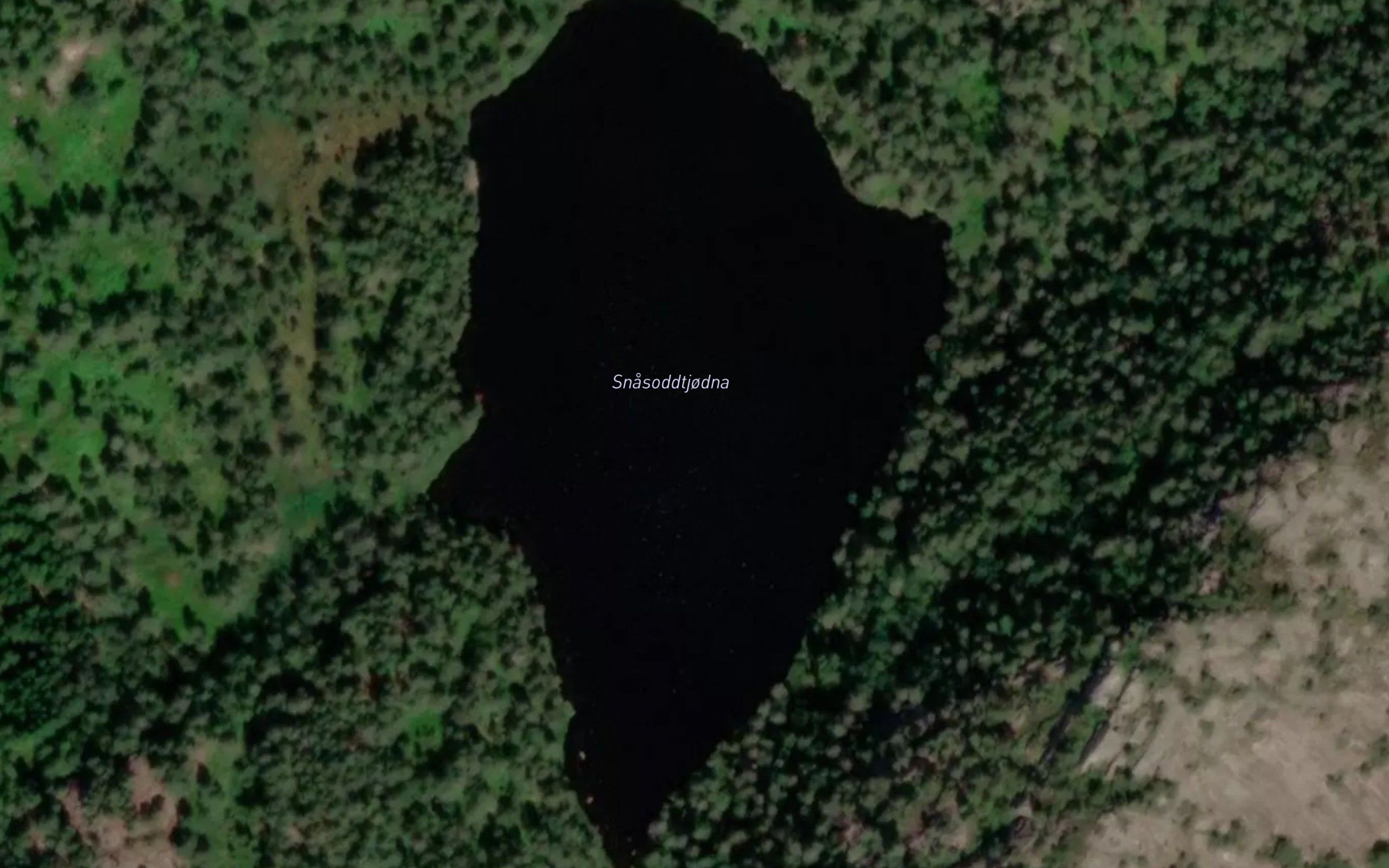 Snasoddtjodna