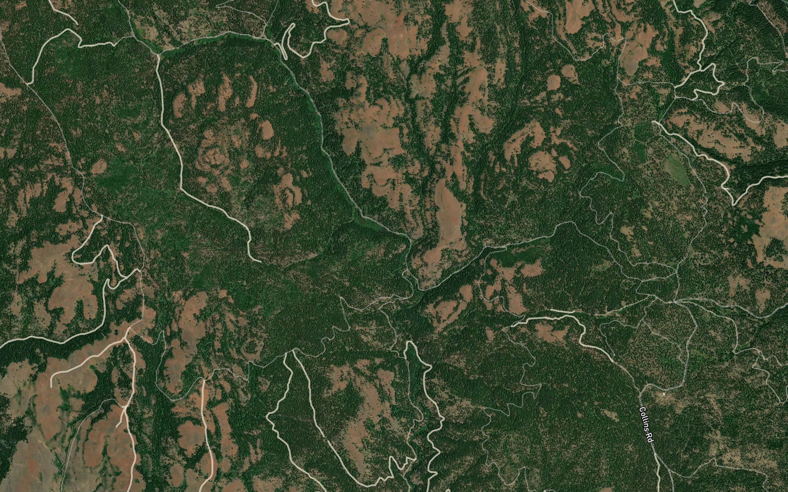 Cougar Creek