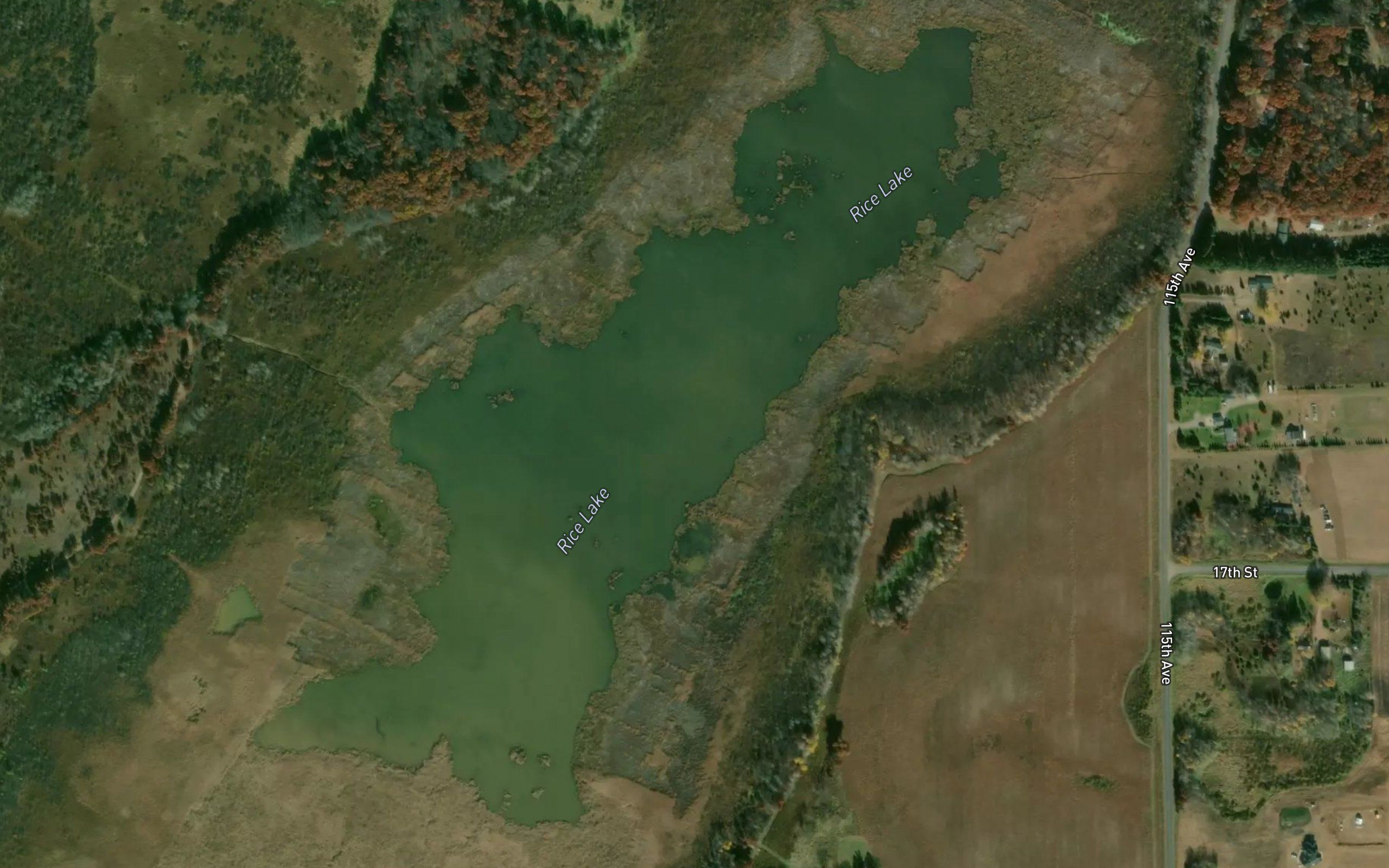 Rice Lake