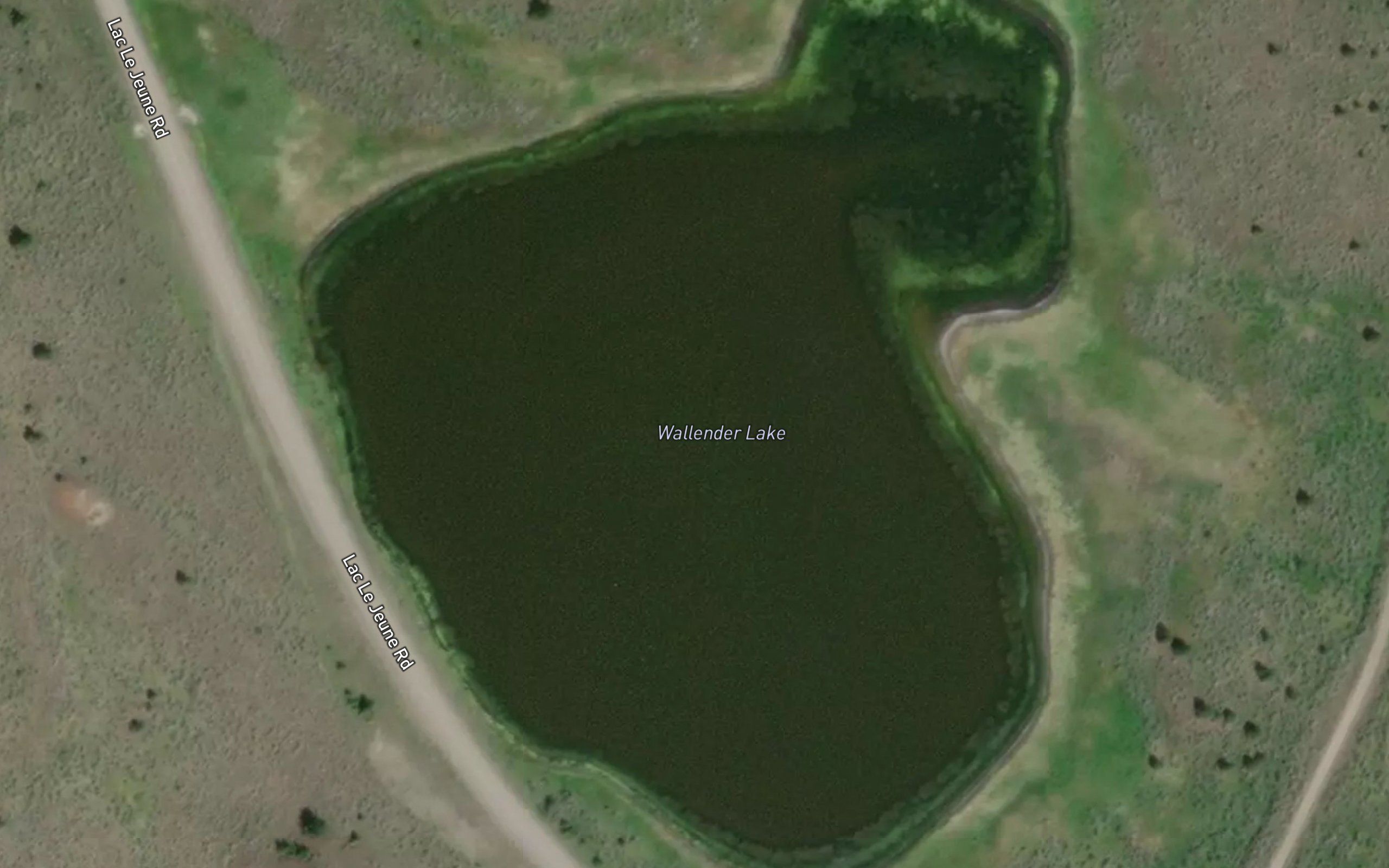 Wallender Lake